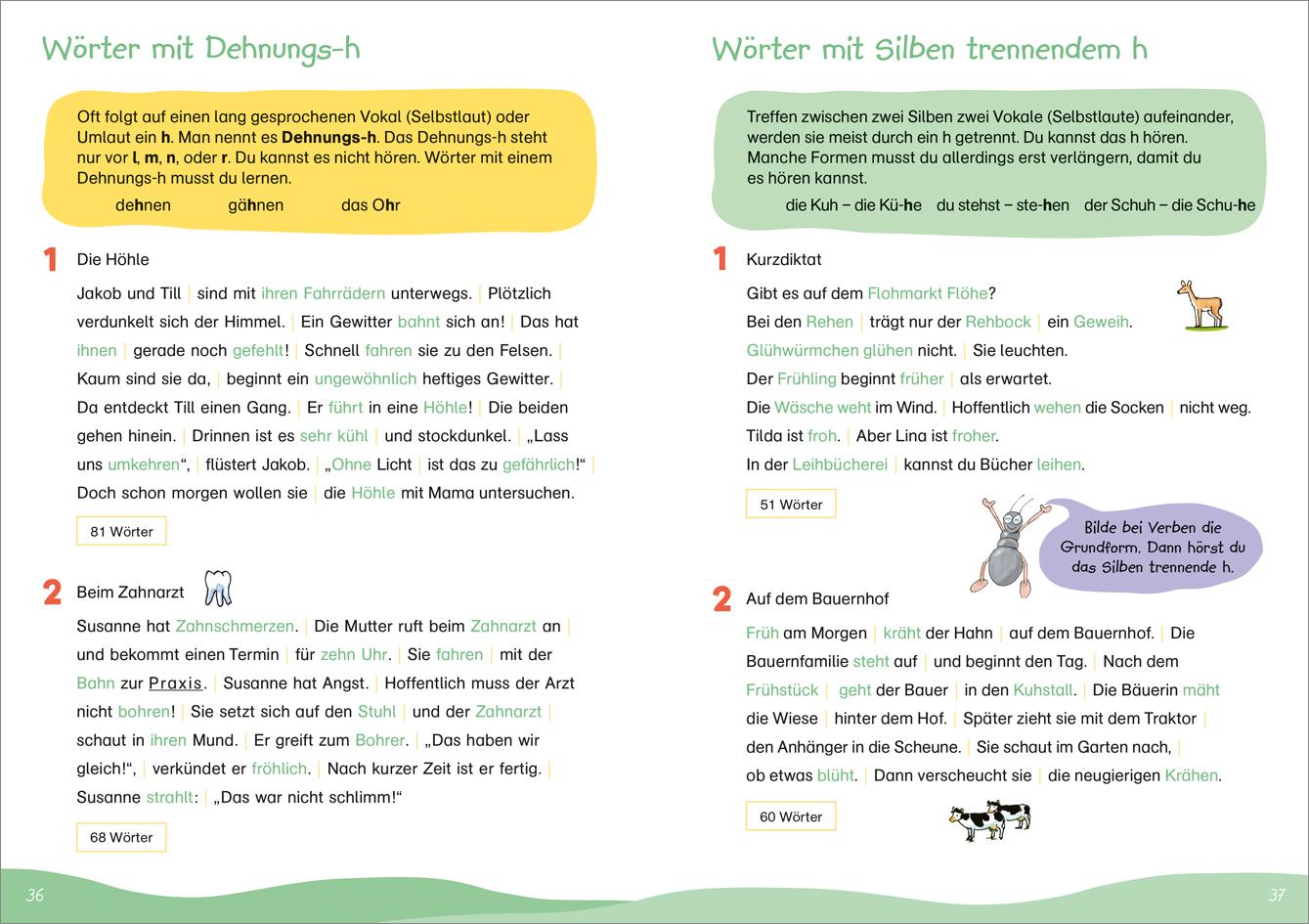 Fit für Diktate 3. Klasse. Mein Übungsheft