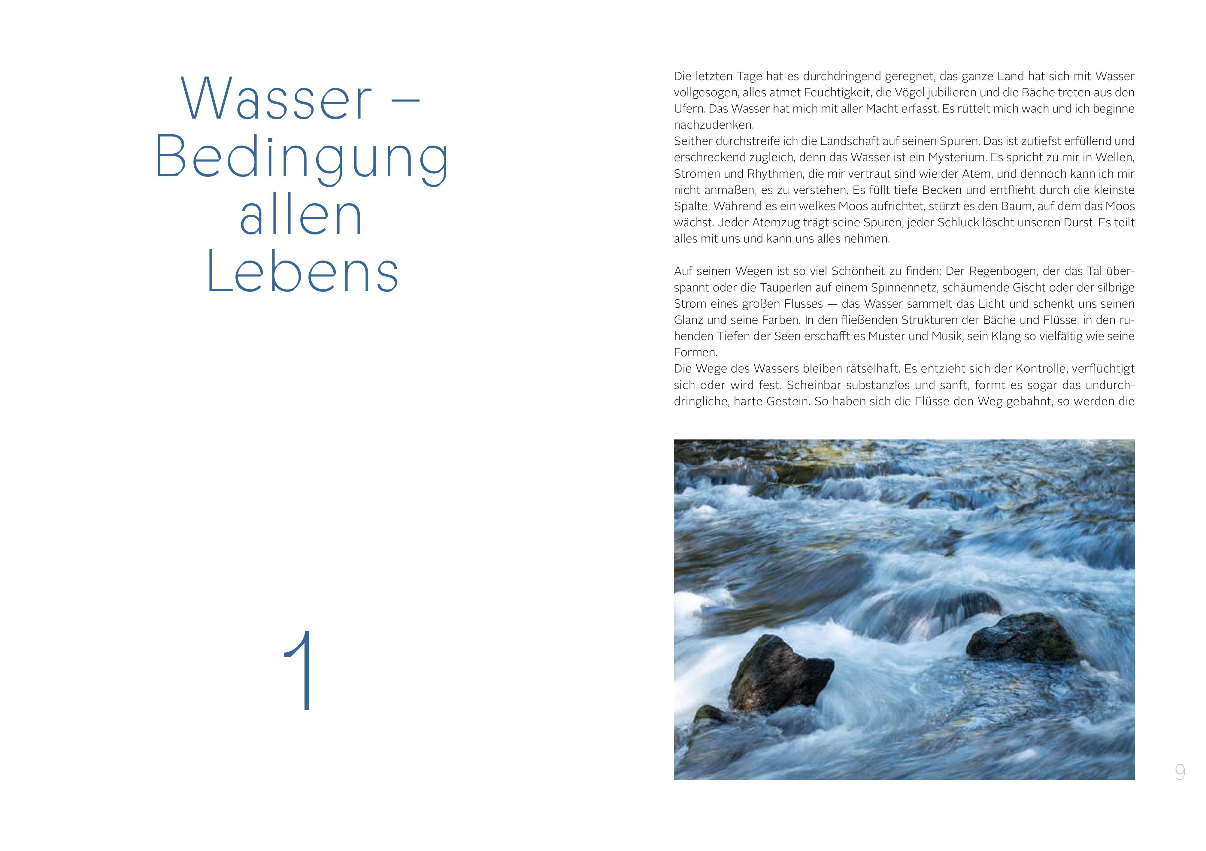 Die Gaben des Wassers