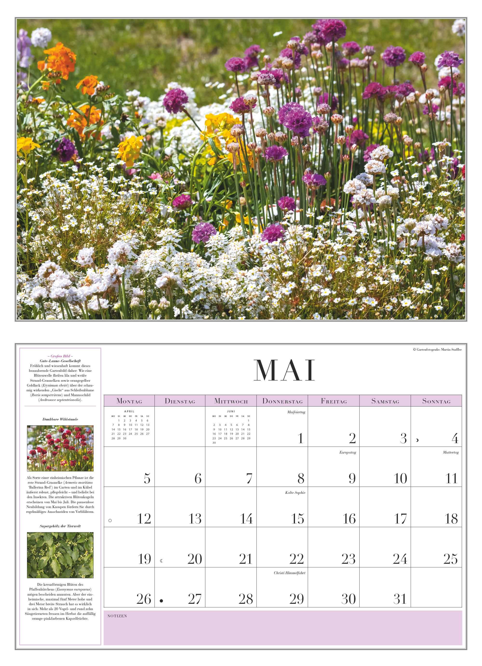 Garten-Kalender 2025 - Broschürenkalender - mit informativen Texten - mit Jahresplaner - Format 42 x 29 cm