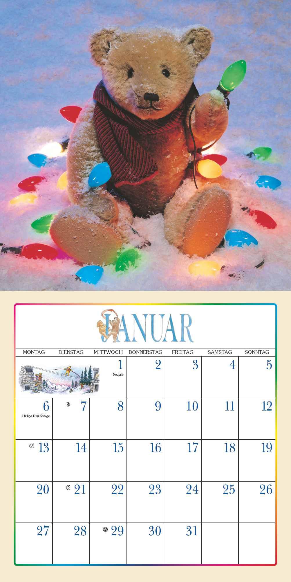 Der Teddybär 2025 - Broschürenkalender - Wandkalender - Format 30 x 30 cm