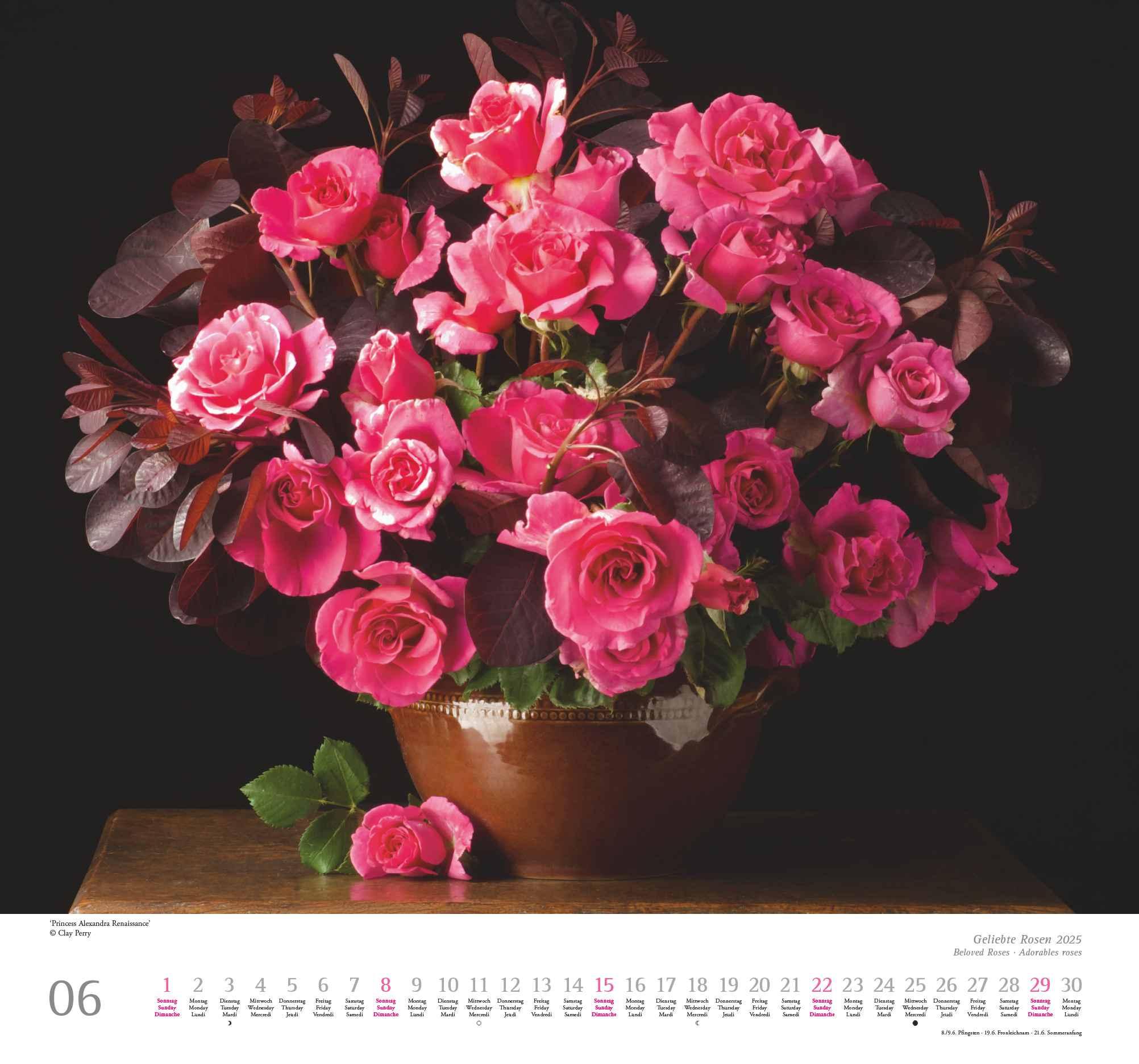 Geliebte Rosen 2025 - DUMONT Wandkalender - mit allen wichtigen Feiertagen - Format 38,0 x 35,5 cm