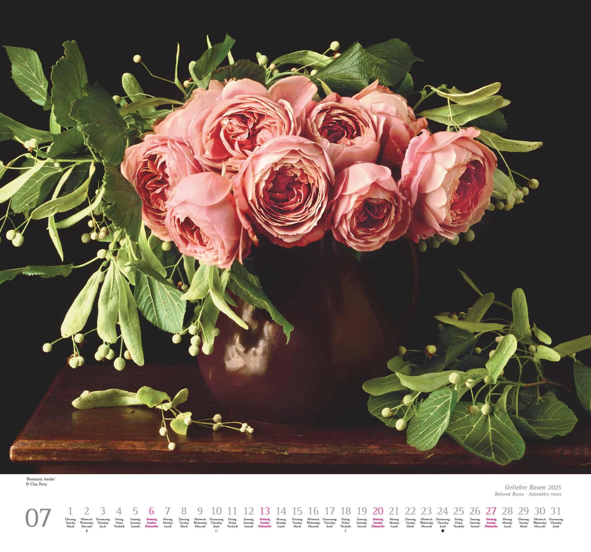 Geliebte Rosen 2025 - DUMONT Wandkalender - mit allen wichtigen Feiertagen - Format 38,0 x 35,5 cm