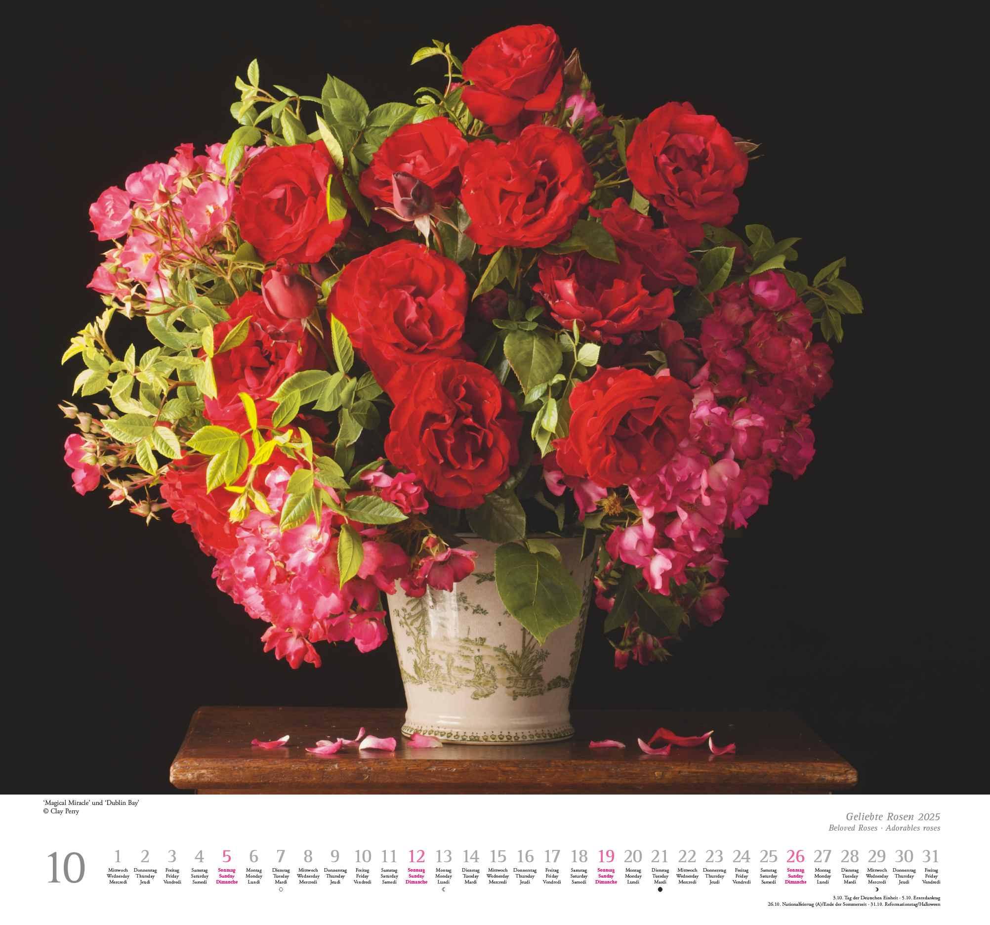 Geliebte Rosen 2025 - DUMONT Wandkalender - mit allen wichtigen Feiertagen - Format 38,0 x 35,5 cm