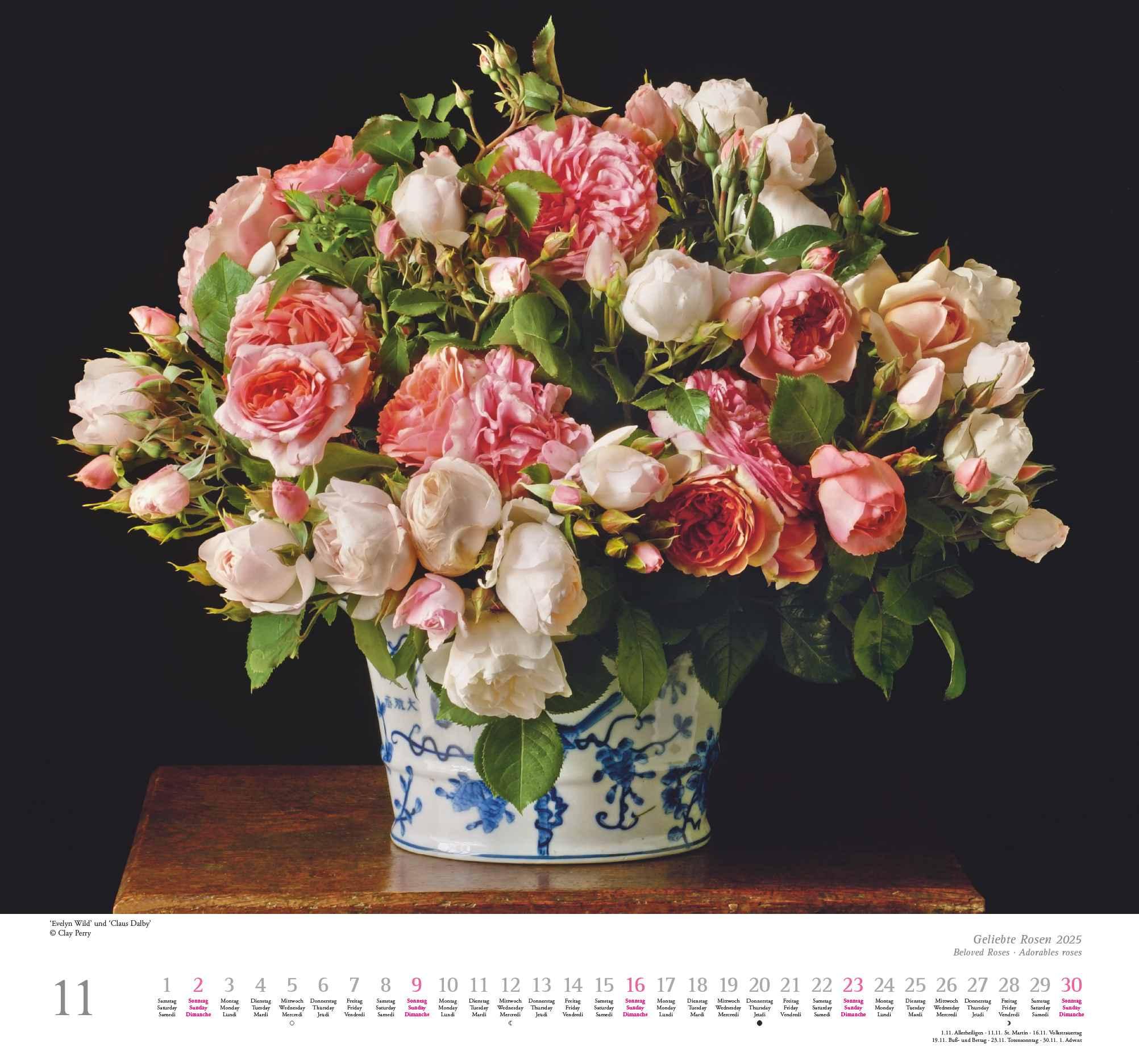 Geliebte Rosen 2025 - DUMONT Wandkalender - mit allen wichtigen Feiertagen - Format 38,0 x 35,5 cm