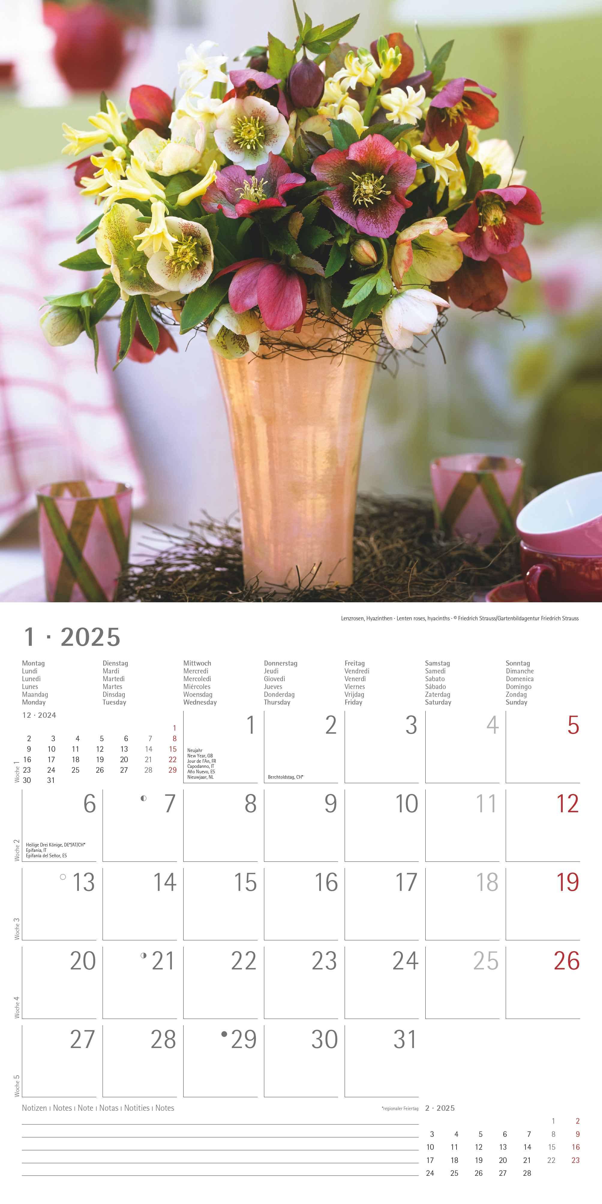 Blumen 2025 - Broschürenkalender 30x30 cm (30x60 geöffnet) - Kalender mit Platz für Notizen - Wandkalender - Wandplaner - Blumenkalender