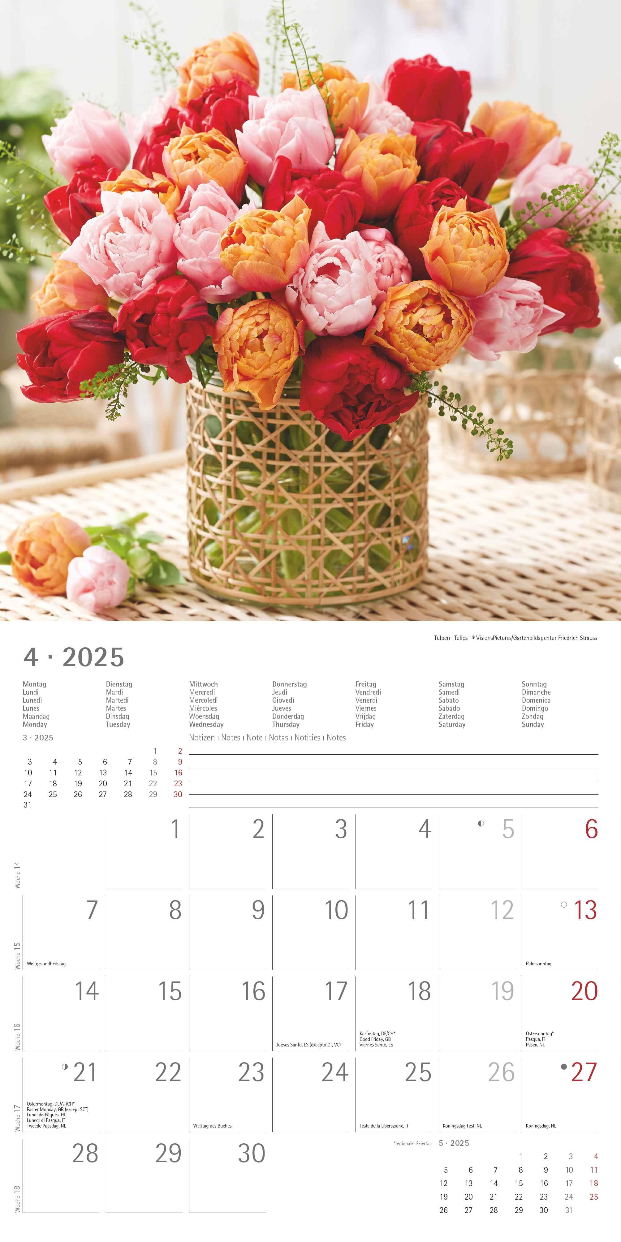 Blumen 2025 - Broschürenkalender 30x30 cm (30x60 geöffnet) - Kalender mit Platz für Notizen - Wandkalender - Wandplaner - Blumenkalender