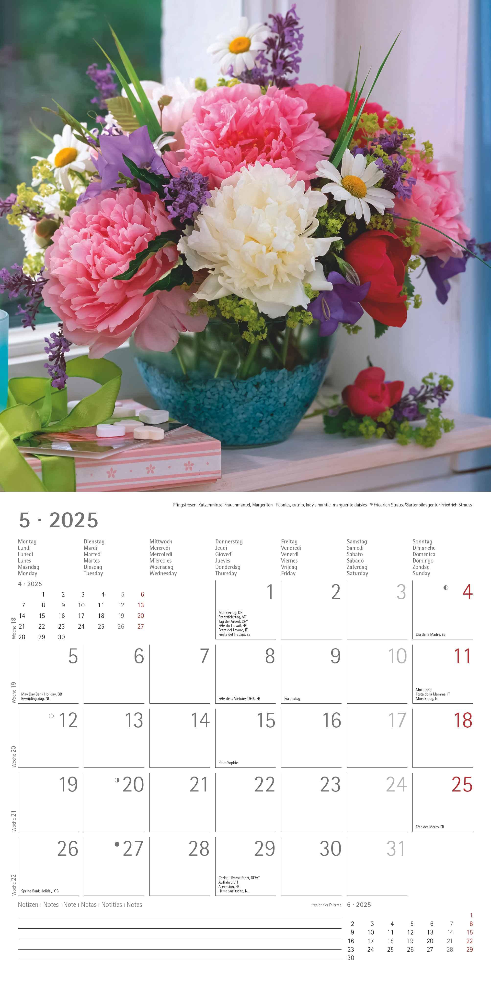 Blumen 2025 - Broschürenkalender 30x30 cm (30x60 geöffnet) - Kalender mit Platz für Notizen - Wandkalender - Wandplaner - Blumenkalender