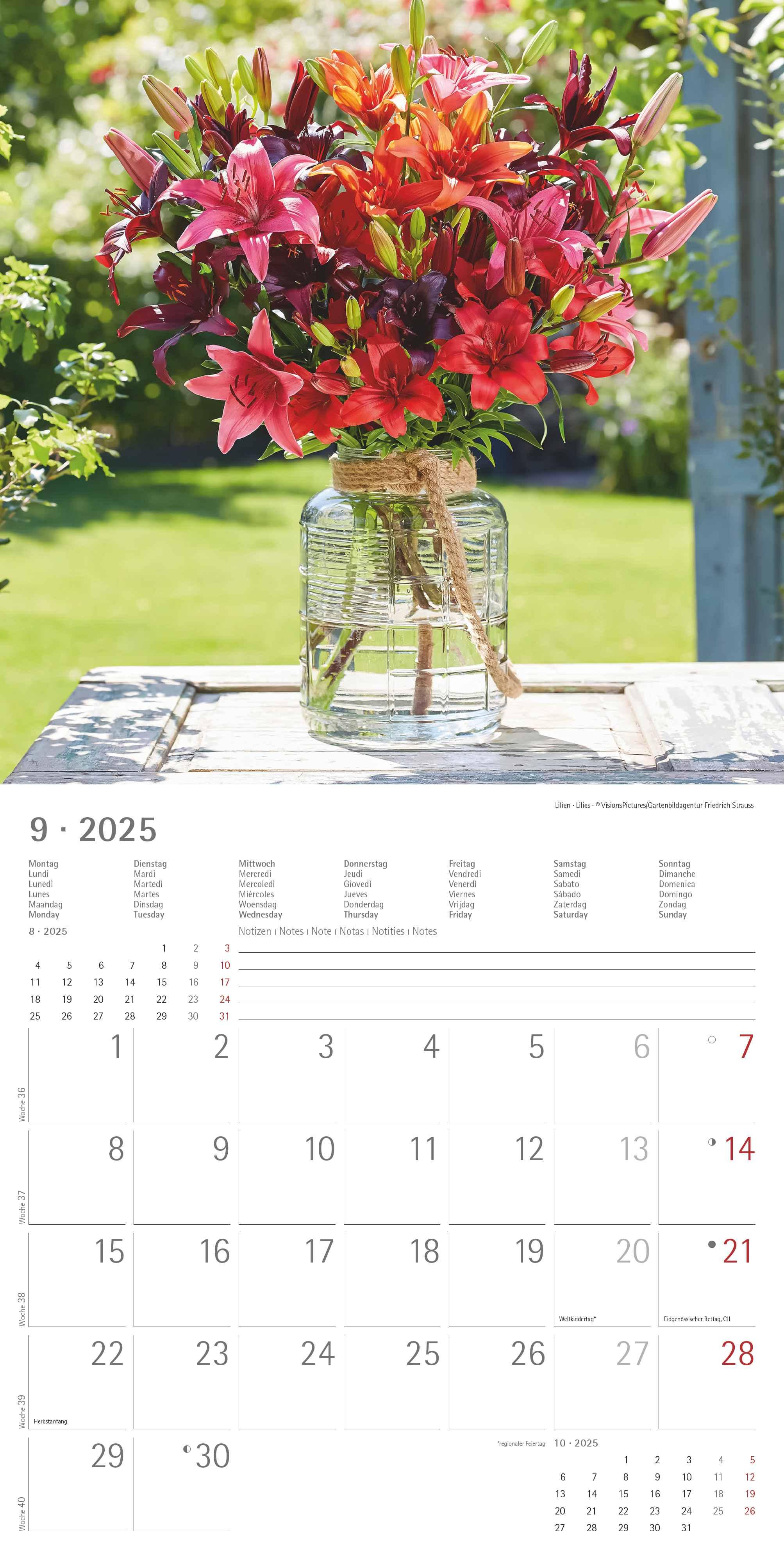 Blumen 2025 - Broschürenkalender 30x30 cm (30x60 geöffnet) - Kalender mit Platz für Notizen - Wandkalender - Wandplaner - Blumenkalender