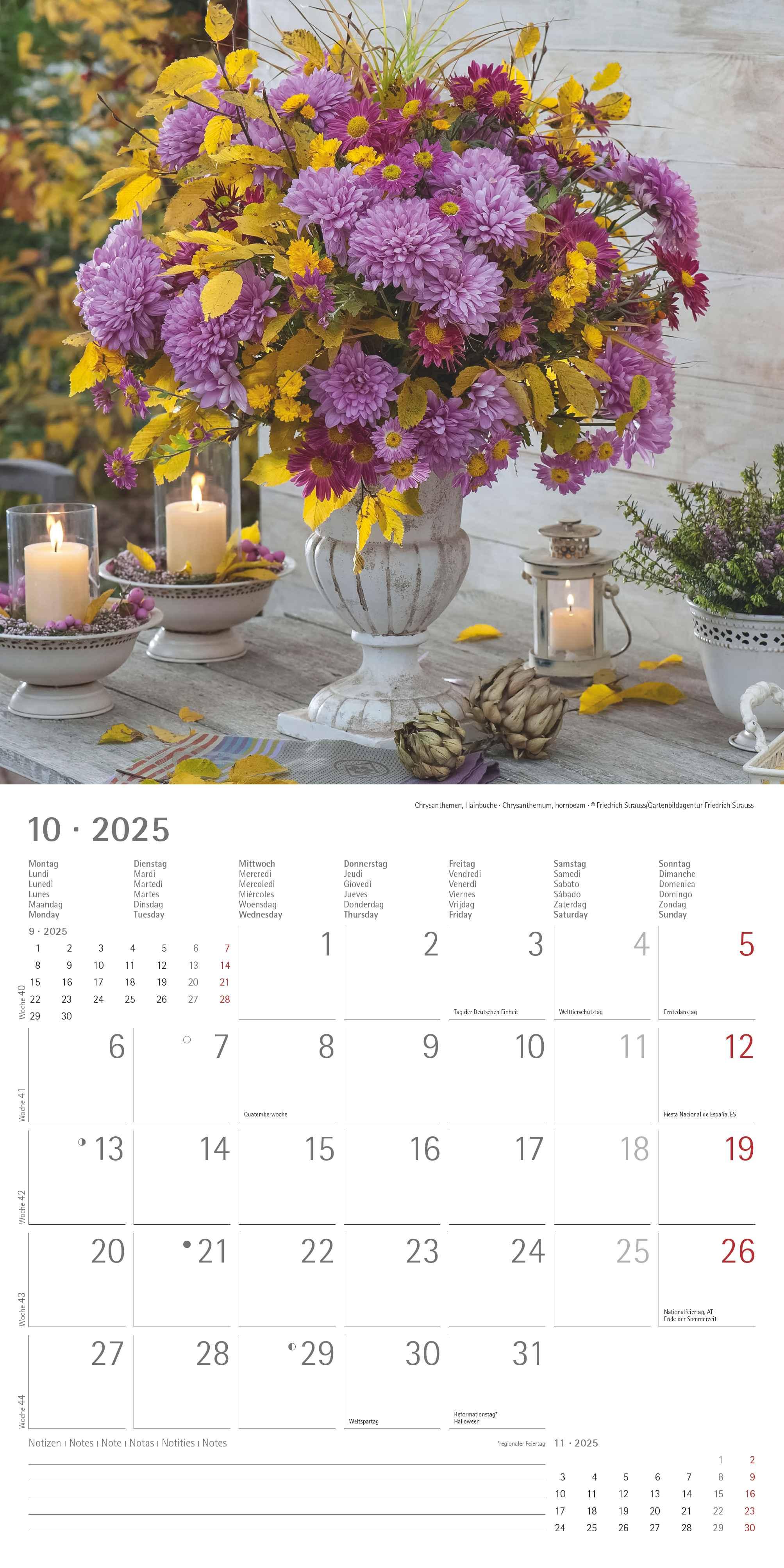 Blumen 2025 - Broschürenkalender 30x30 cm (30x60 geöffnet) - Kalender mit Platz für Notizen - Wandkalender - Wandplaner - Blumenkalender