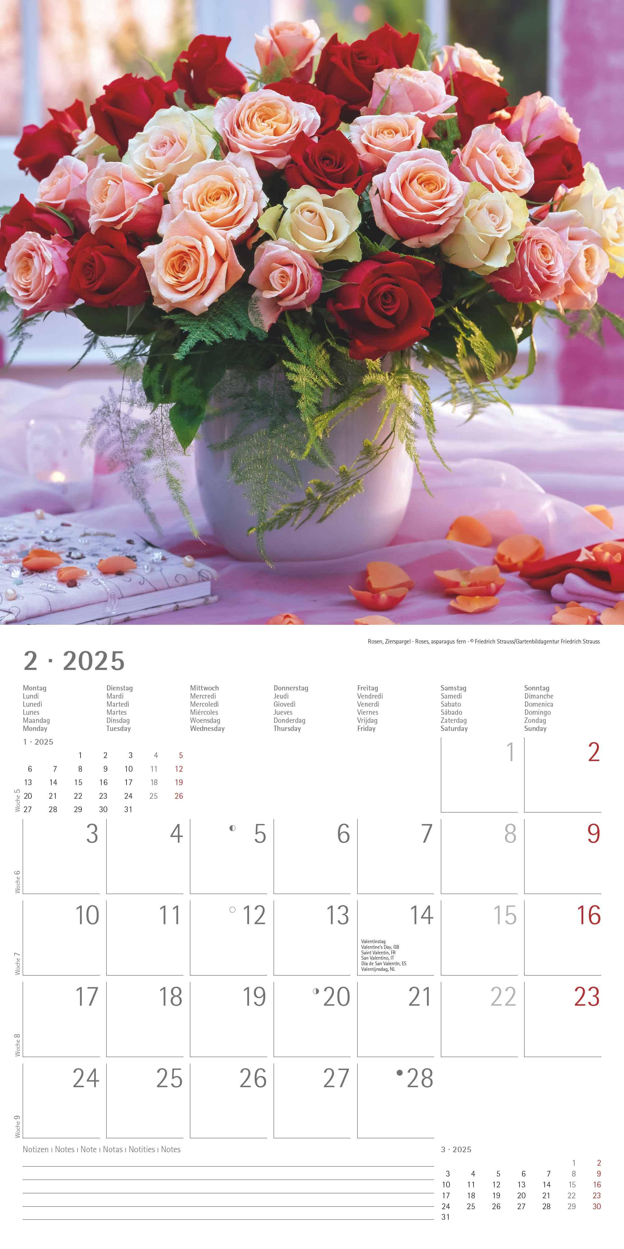 Blumen 2025 - Broschürenkalender 30x30 cm (30x60 geöffnet) - Kalender mit Platz für Notizen - Wandkalender - Wandplaner - Blumenkalender