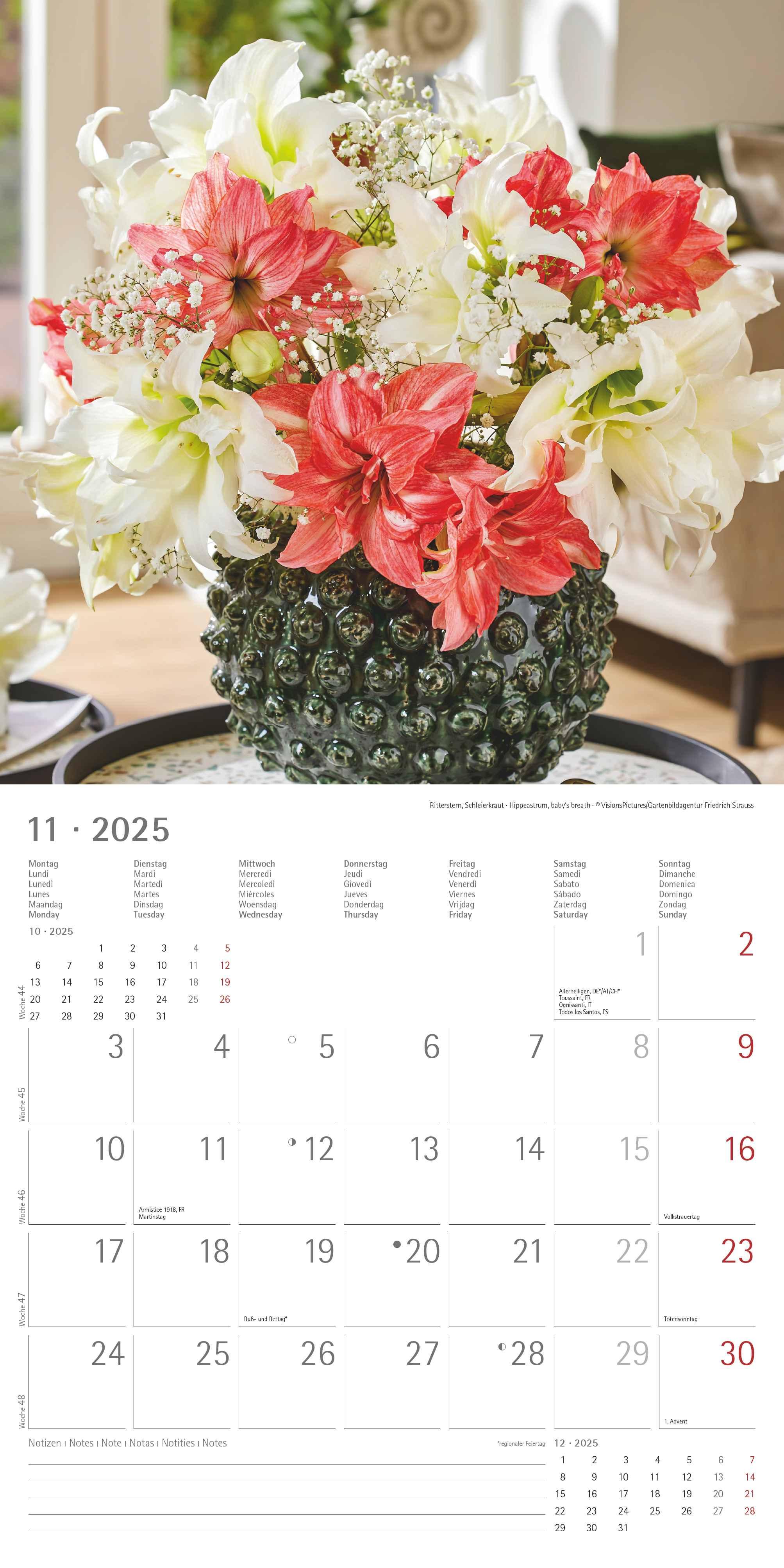 Blumen 2025 - Broschürenkalender 30x30 cm (30x60 geöffnet) - Kalender mit Platz für Notizen - Wandkalender - Wandplaner - Blumenkalender