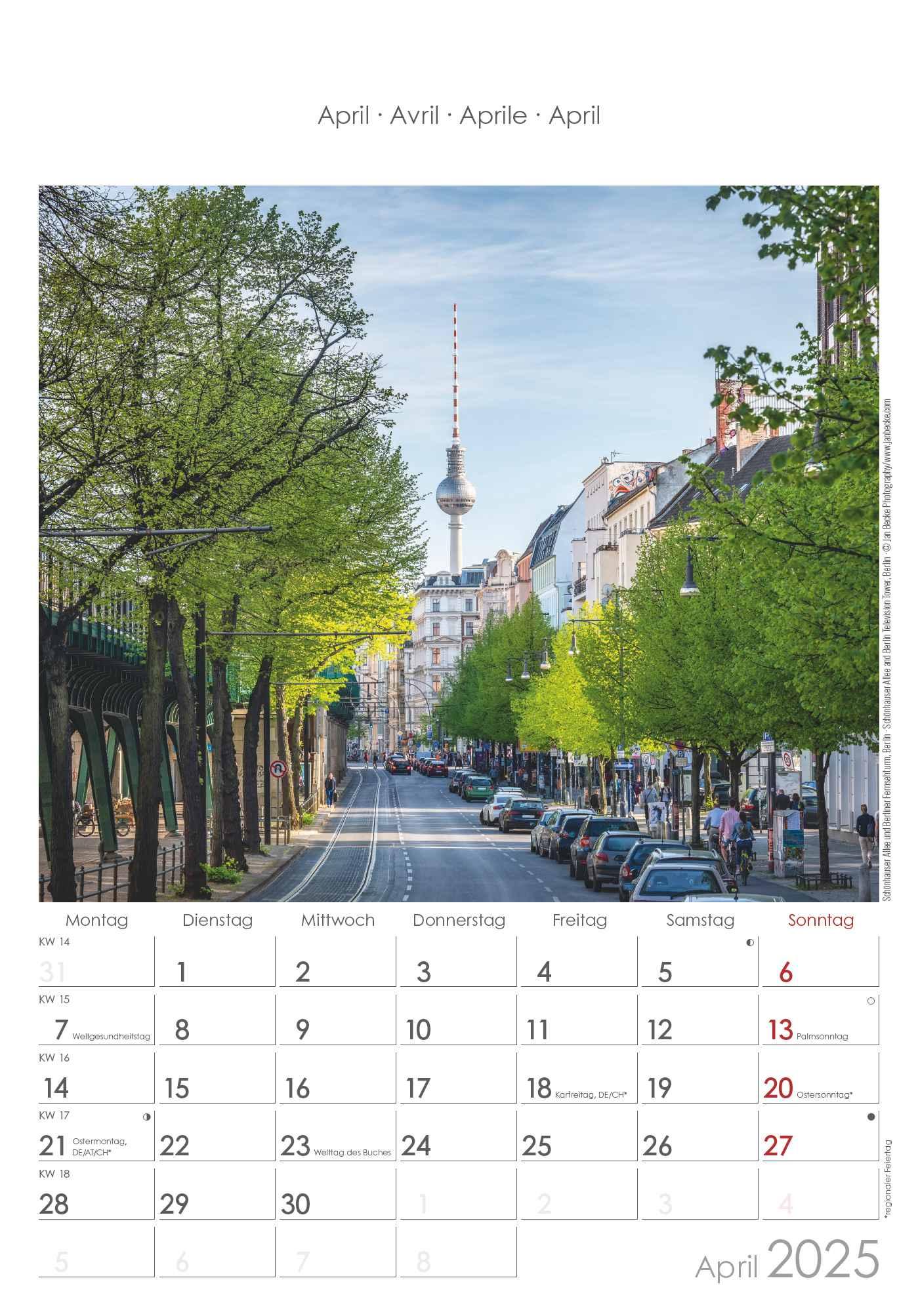 Berlin & Brandenburg 2025 - Bild-Kalender 23,7x34 cm - Regional-Kalender - Wandkalender - mit Platz für Notizen - Alpha Edition