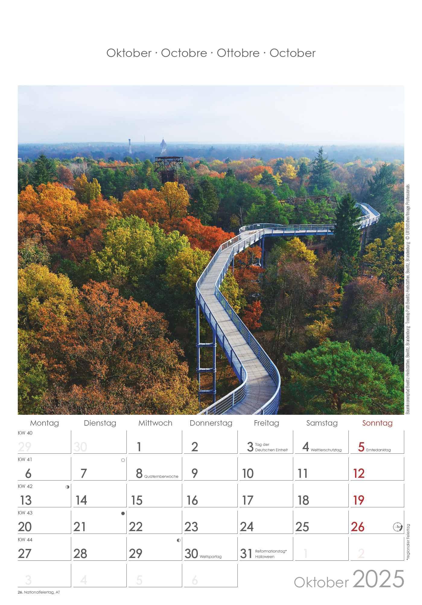 Berlin & Brandenburg 2025 - Bild-Kalender 23,7x34 cm - Regional-Kalender - Wandkalender - mit Platz für Notizen - Alpha Edition