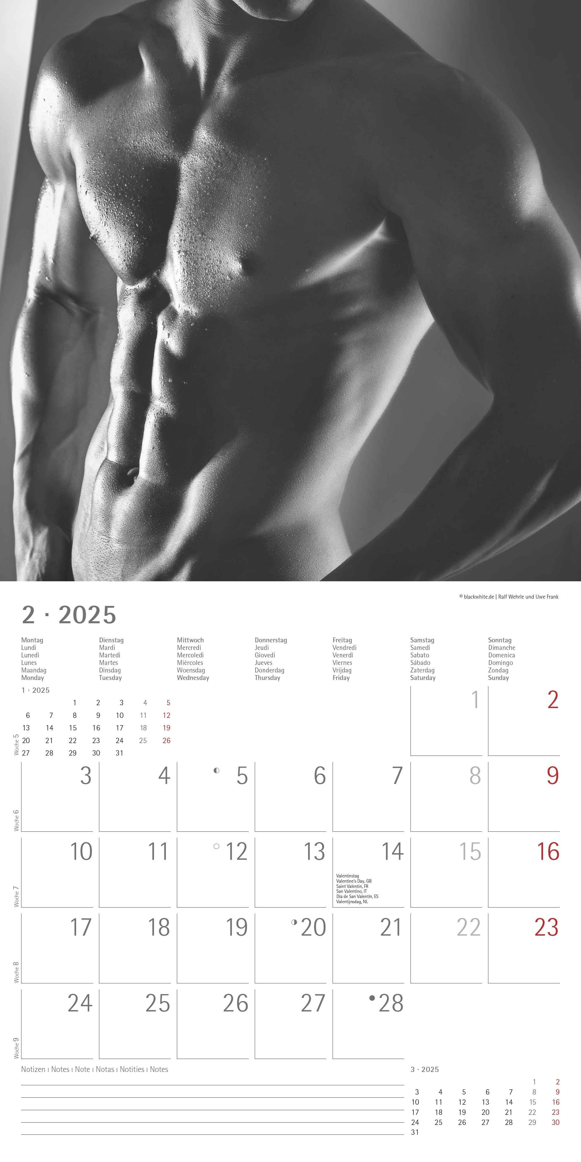 Masculine 2025 - Broschürenkalender 30x30 cm (30x60 geöffnet) - Kalender mit Platz für Notizen - Maskulin - Bildkalender - Wandplaner - Erotikkalender