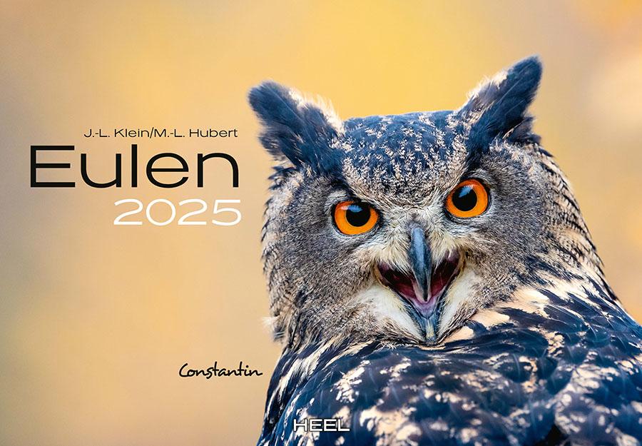 Eulen Kalender 2025