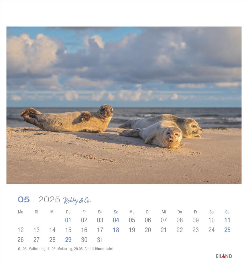 Robby & Co. Postkartenkalender 2025