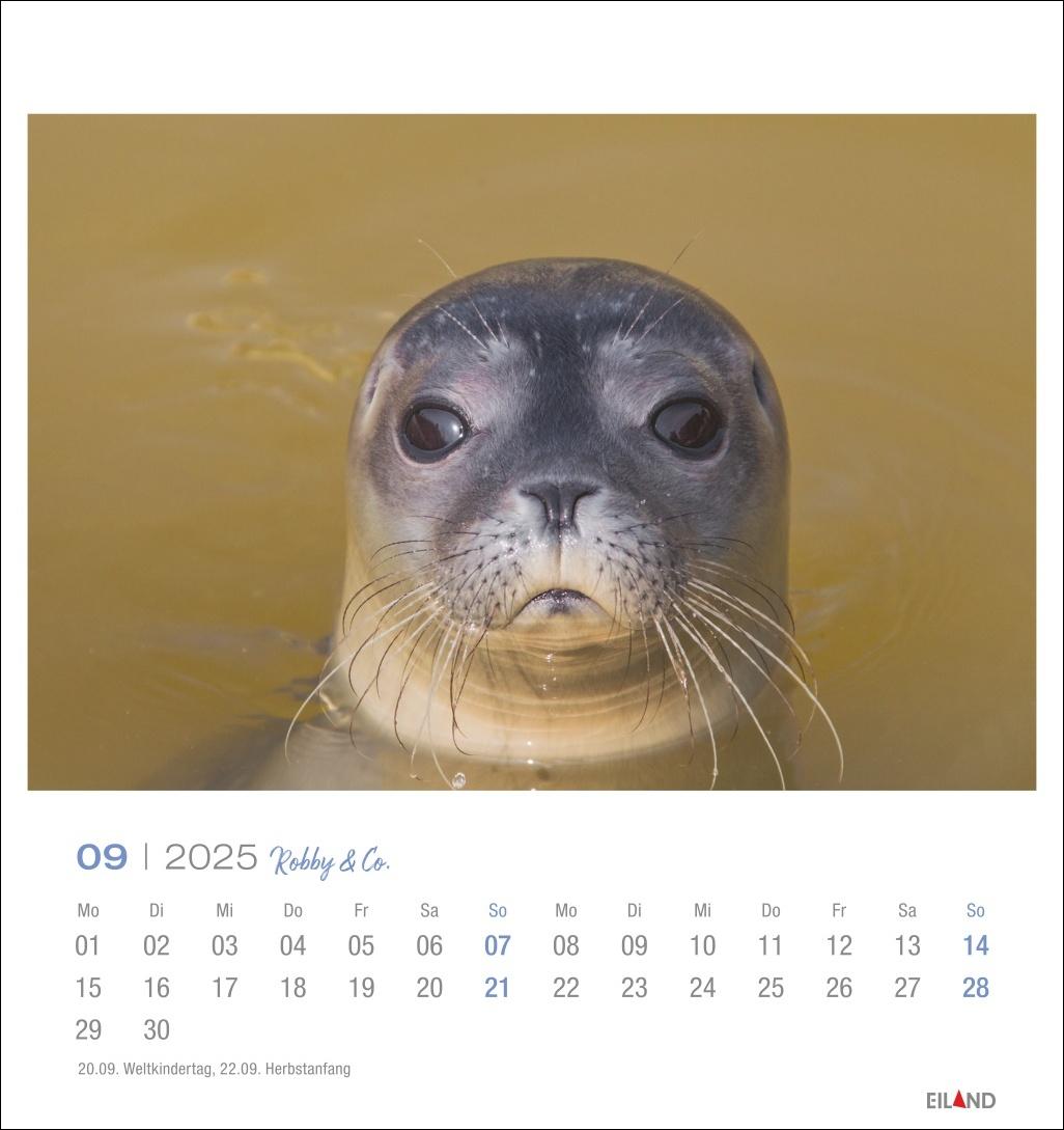 Robby & Co. Postkartenkalender 2025