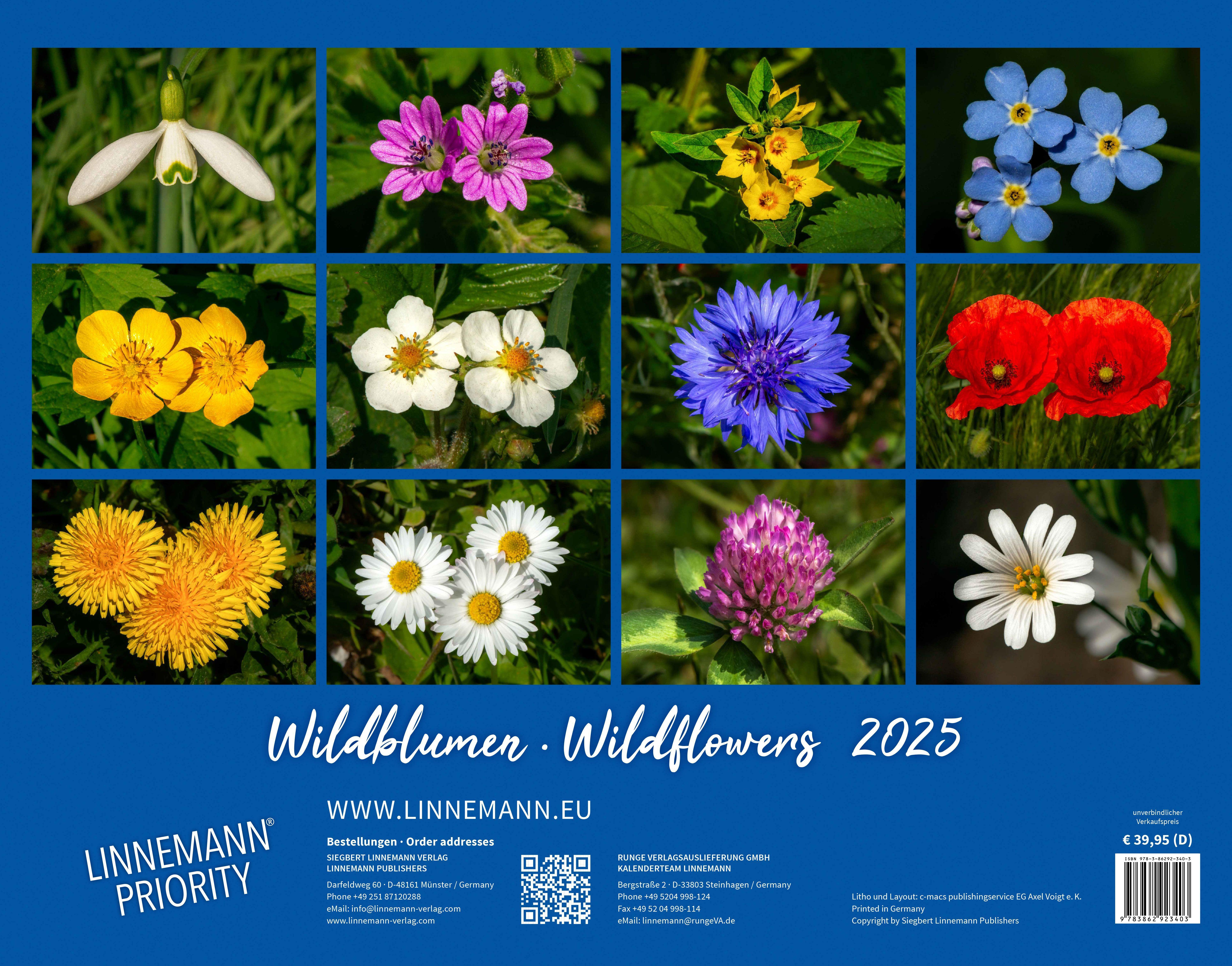 Wildblumen 2025 Großformat-Kalender 58 x 45,5 cm