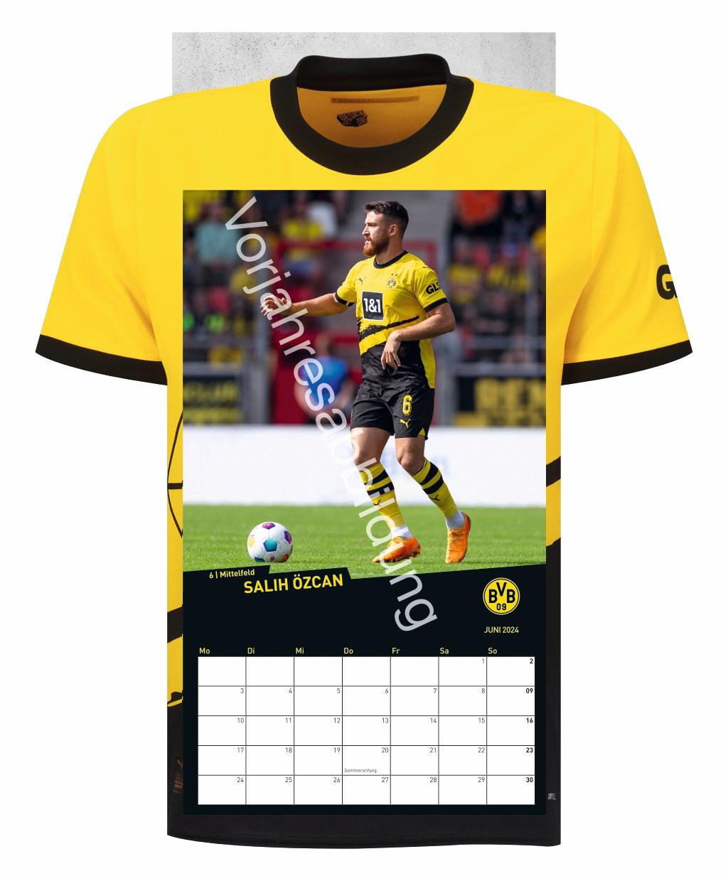 BVB Trikotkalender 2025