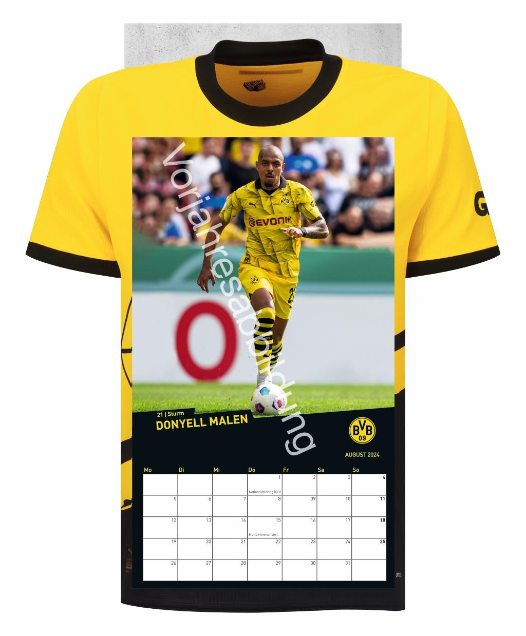 BVB Trikotkalender 2025