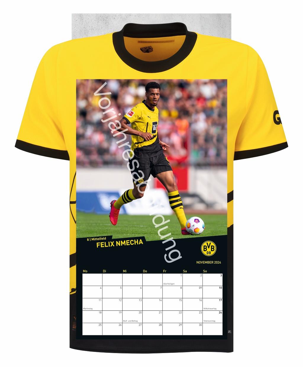 BVB Trikotkalender 2025