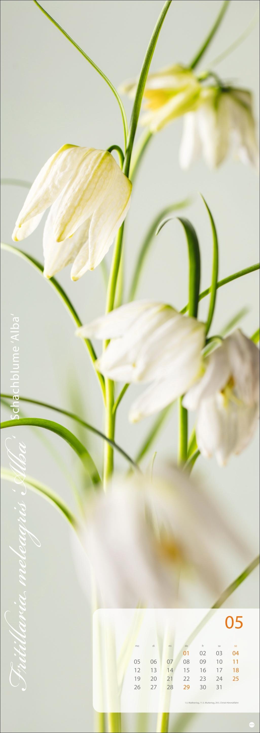 Magic Flowers Vertical Kalender 2025