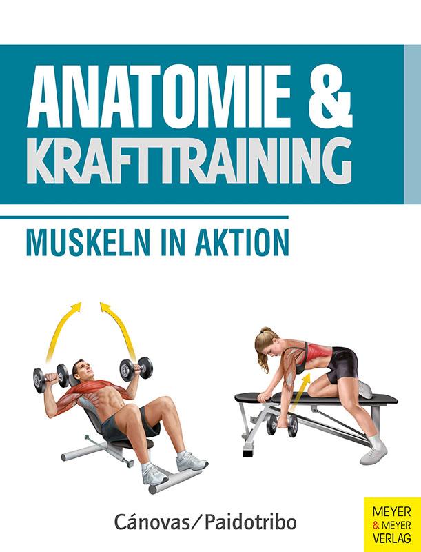 Anatomie & Krafttraining