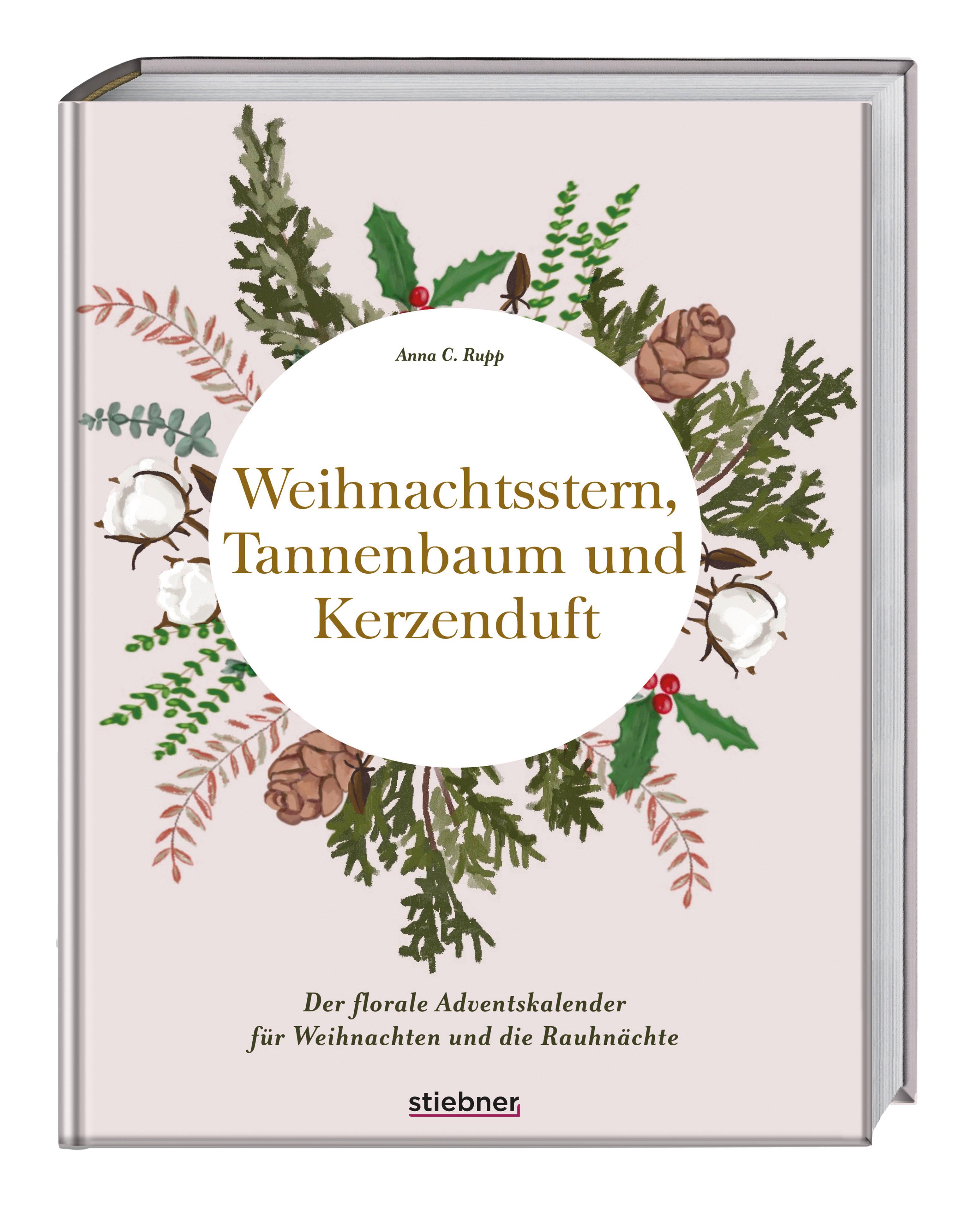 Weihnachtsstern, Tannenbaum und Kerzenduft