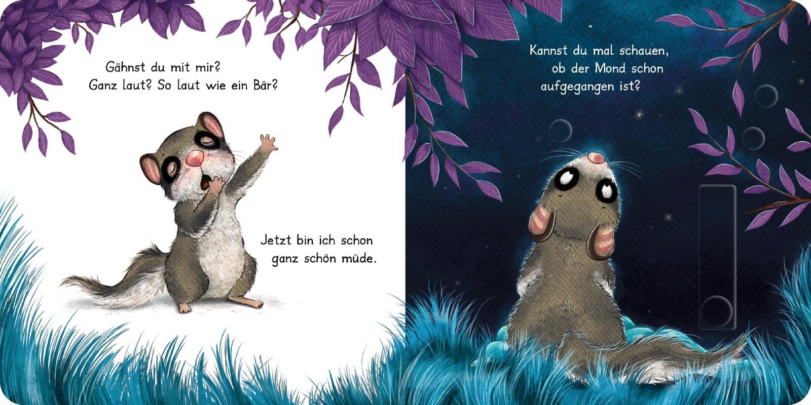 Der kleine Siebenschläfer: Bringst du mich ins Bett?