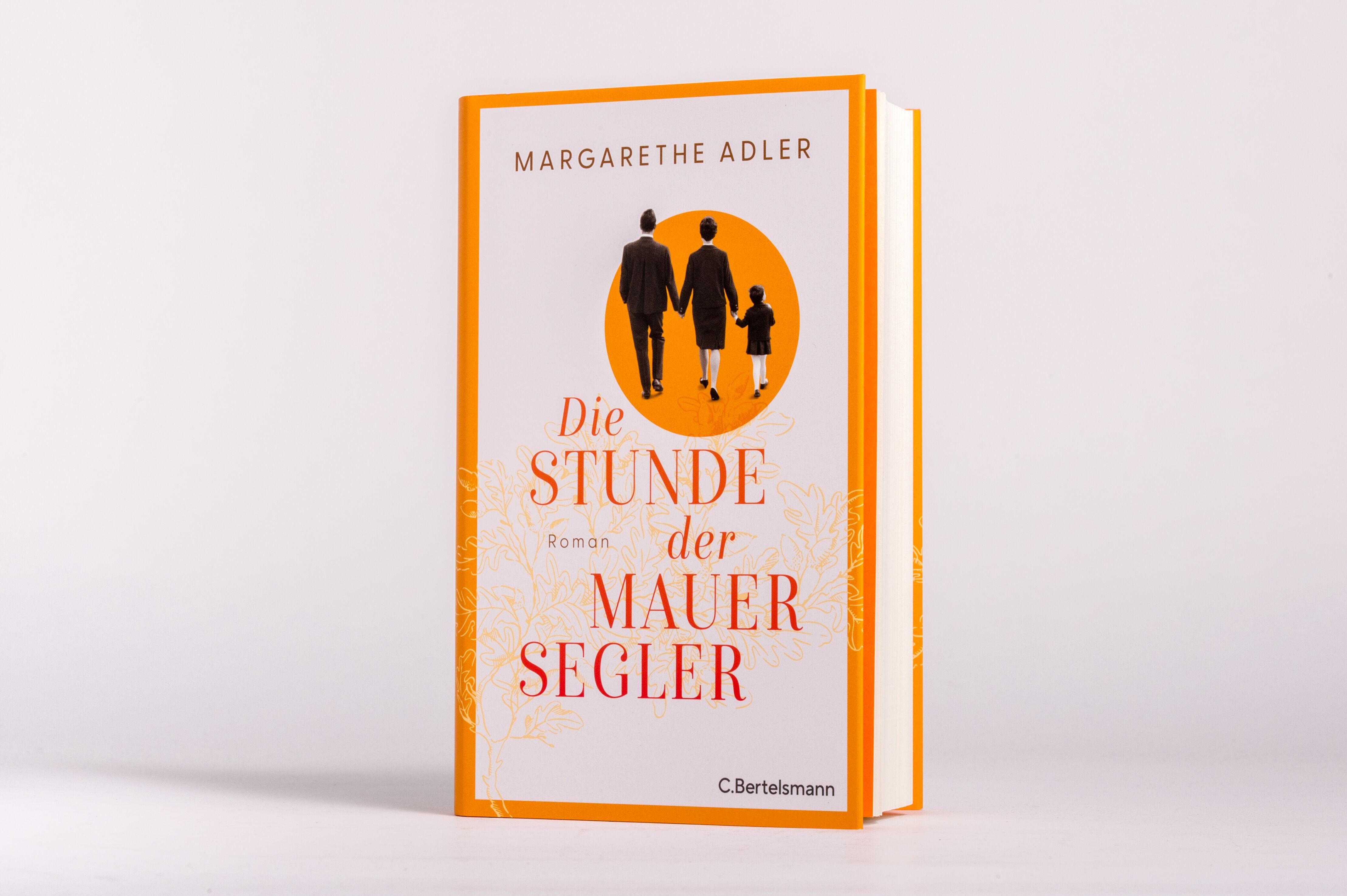 Die Stunde der Mauersegler