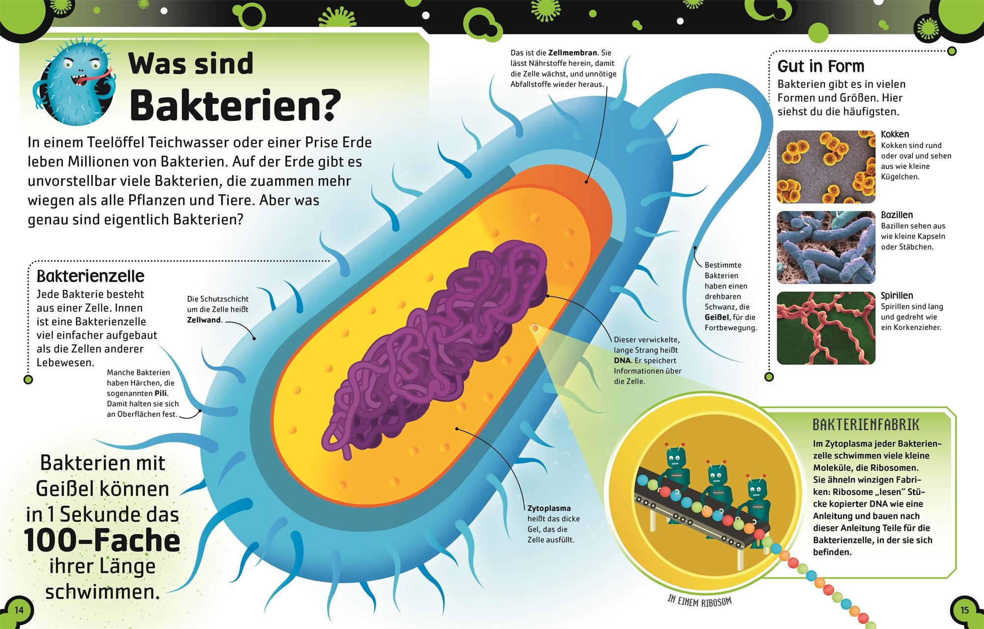 Superstark & Superschlau. Bakterien und Viren