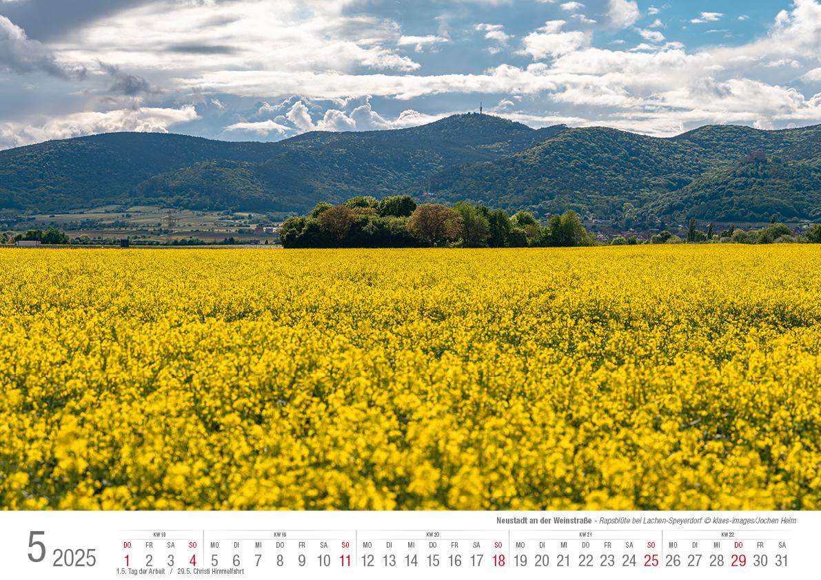 Neustadt a. d. Weinstraße 2025 Bildkalender A3 Spiralbindung