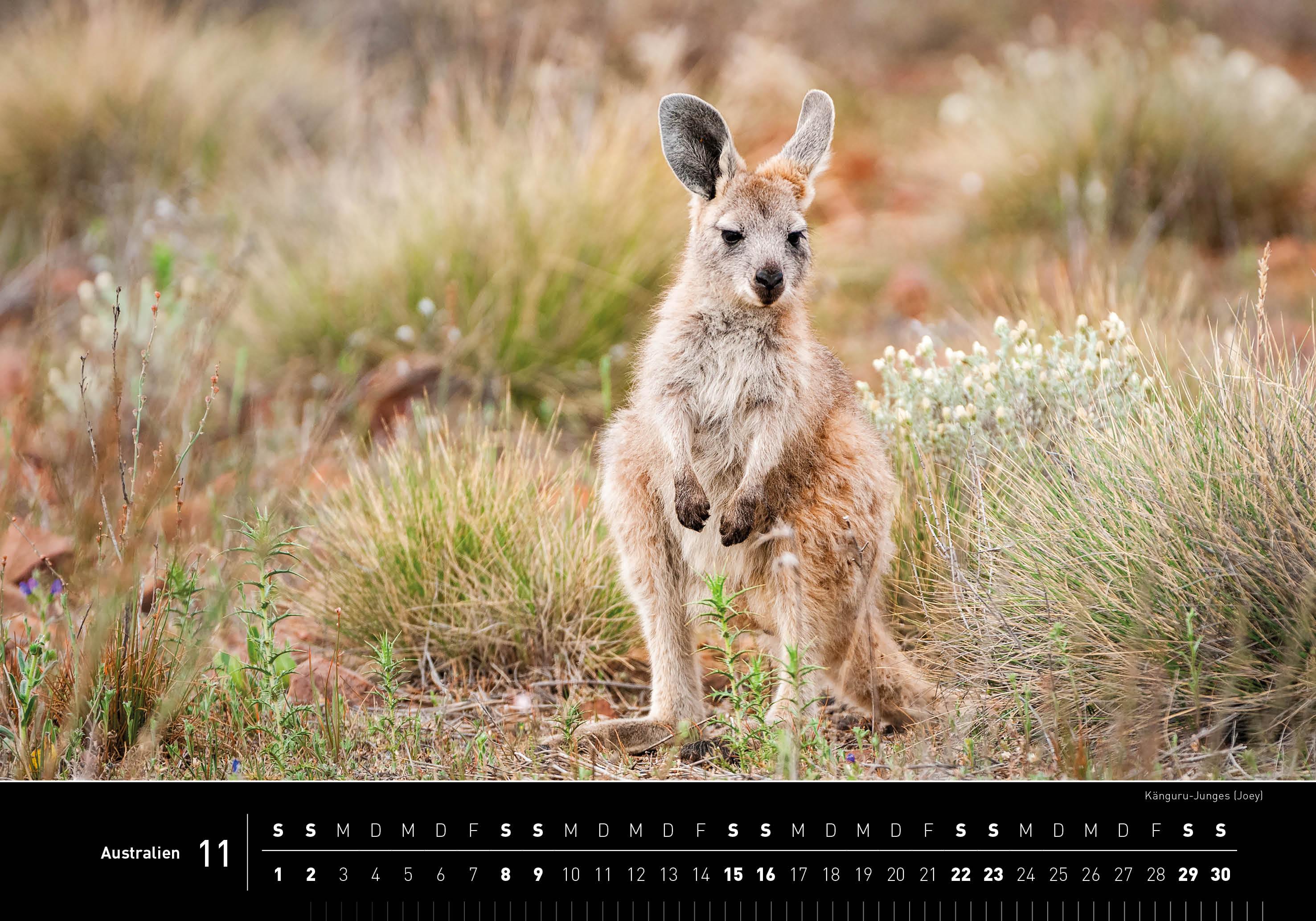 360° Australien Premiumkalender 2025