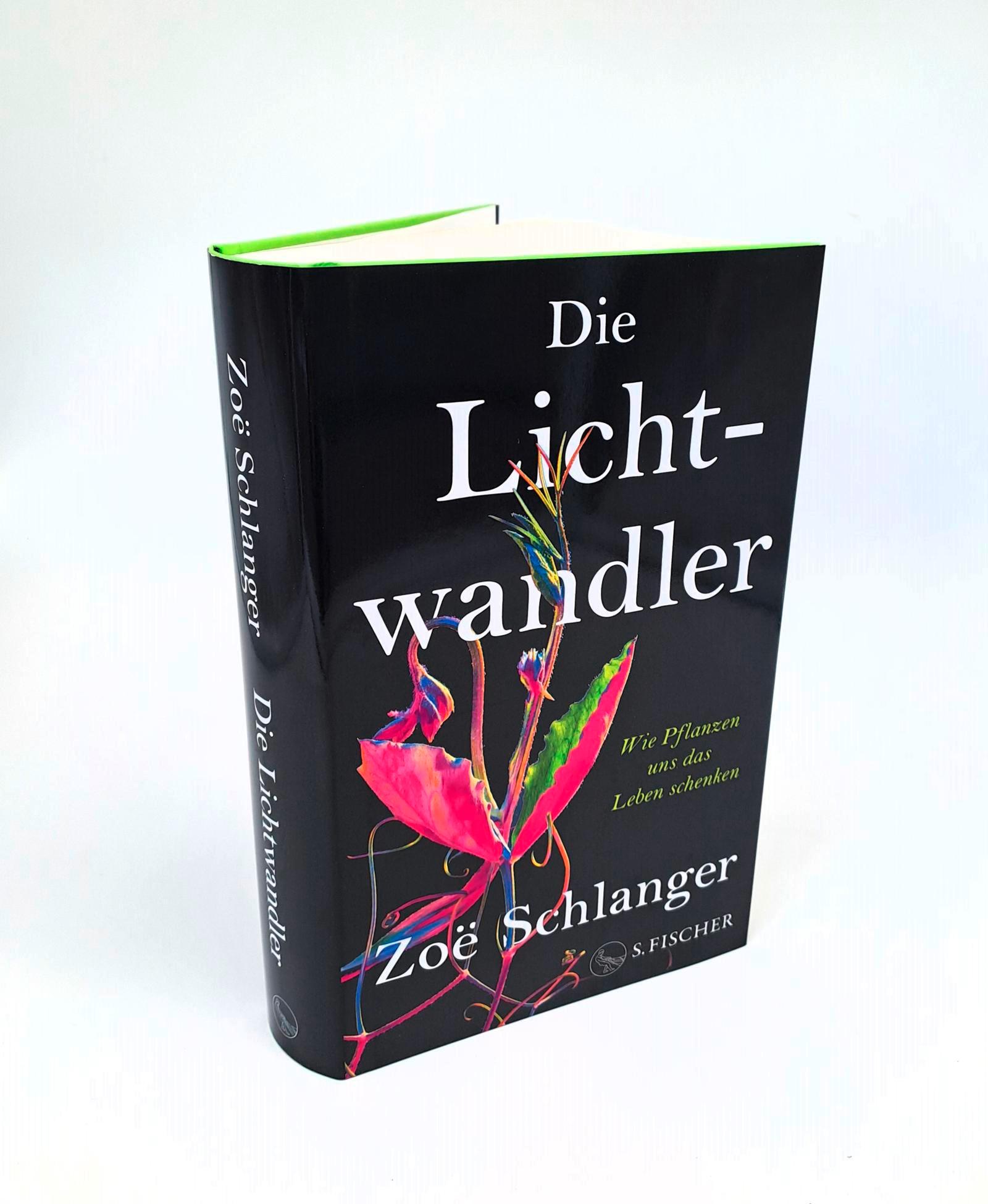 Die Lichtwandler