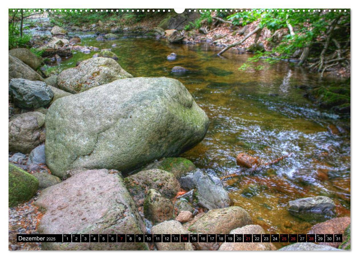 Verzauberter Harz (Wandkalender 2025 DIN A2 quer), CALVENDO Monatskalender