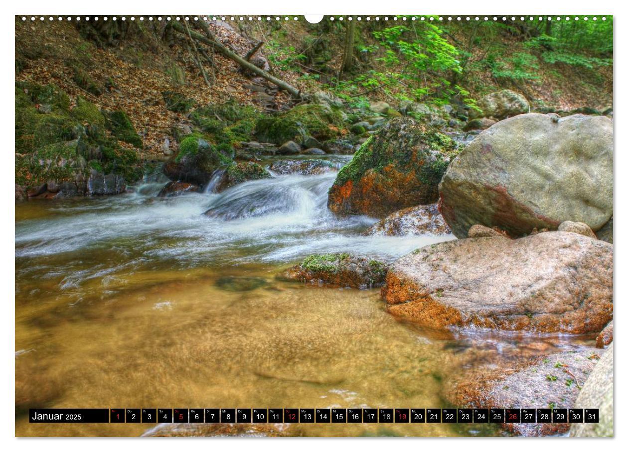 Verzauberter Harz (Wandkalender 2025 DIN A2 quer), CALVENDO Monatskalender