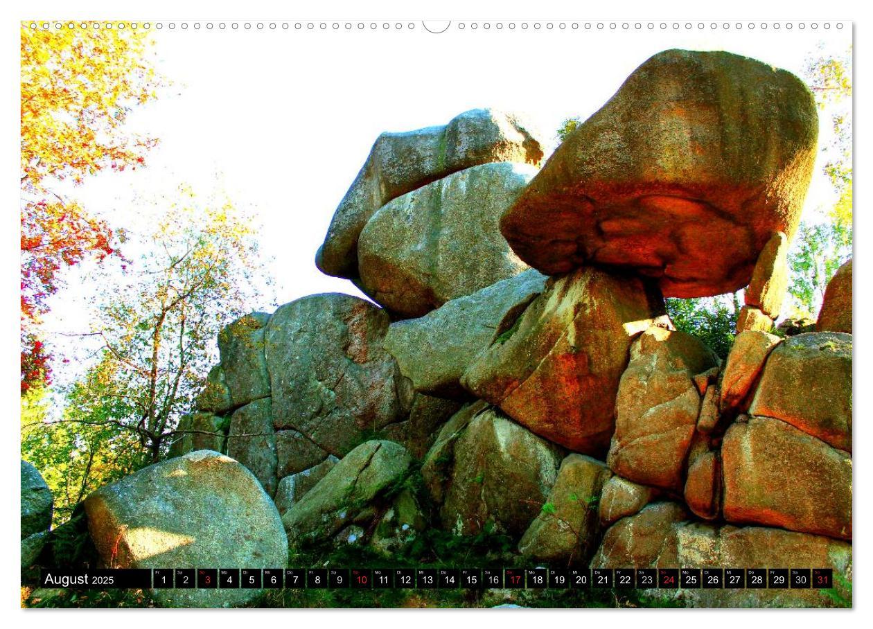 Verzauberter Harz (Wandkalender 2025 DIN A2 quer), CALVENDO Monatskalender