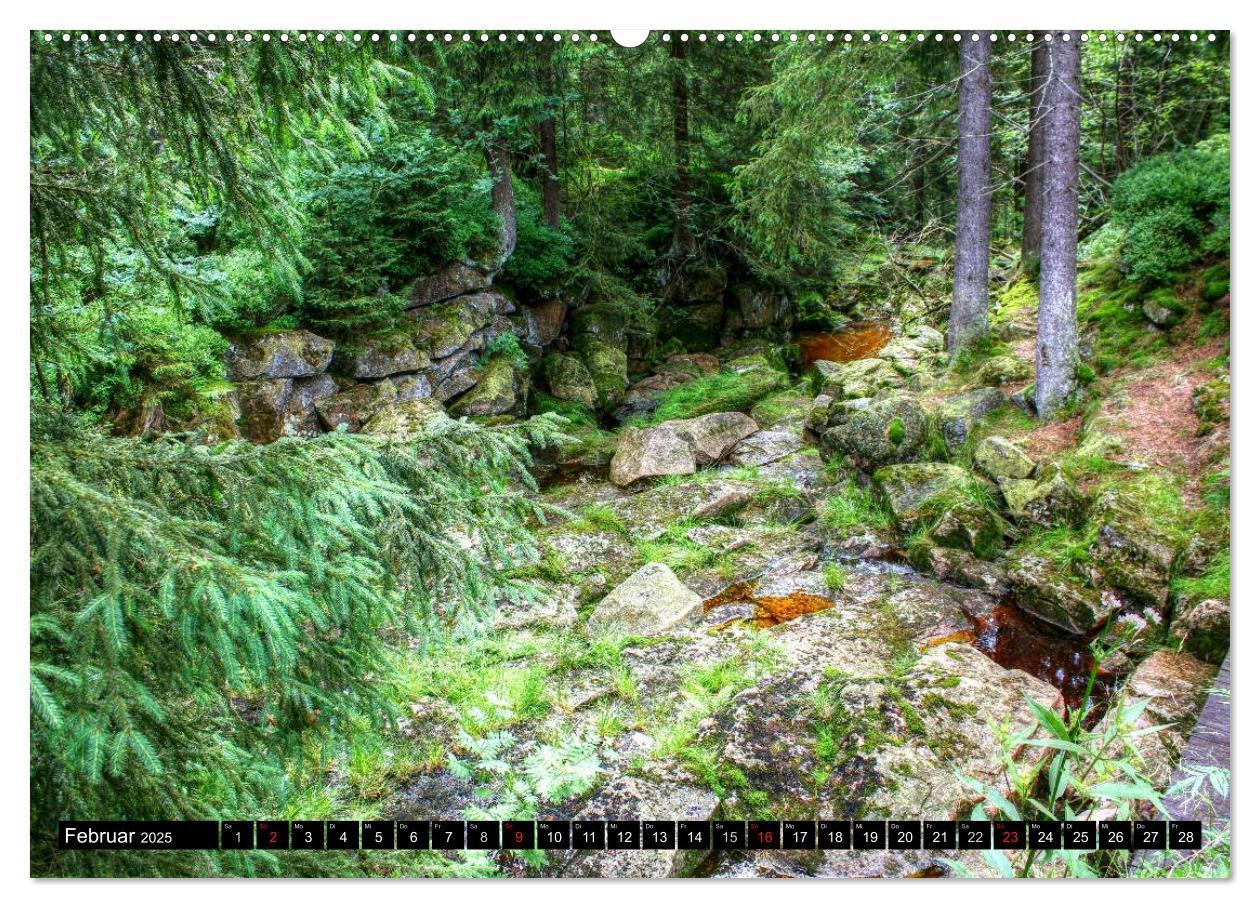 Verzauberter Harz (hochwertiger Premium Wandkalender 2025 DIN A2 quer), Kunstdruck in Hochglanz