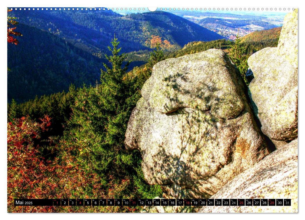 Verzauberter Harz (hochwertiger Premium Wandkalender 2025 DIN A2 quer), Kunstdruck in Hochglanz