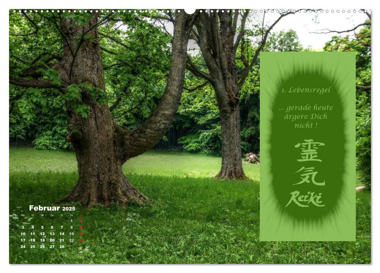 REIKI - Chakrameditation (hochwertiger Premium Wandkalender 2025 DIN A2 quer), Kunstdruck in Hochglanz