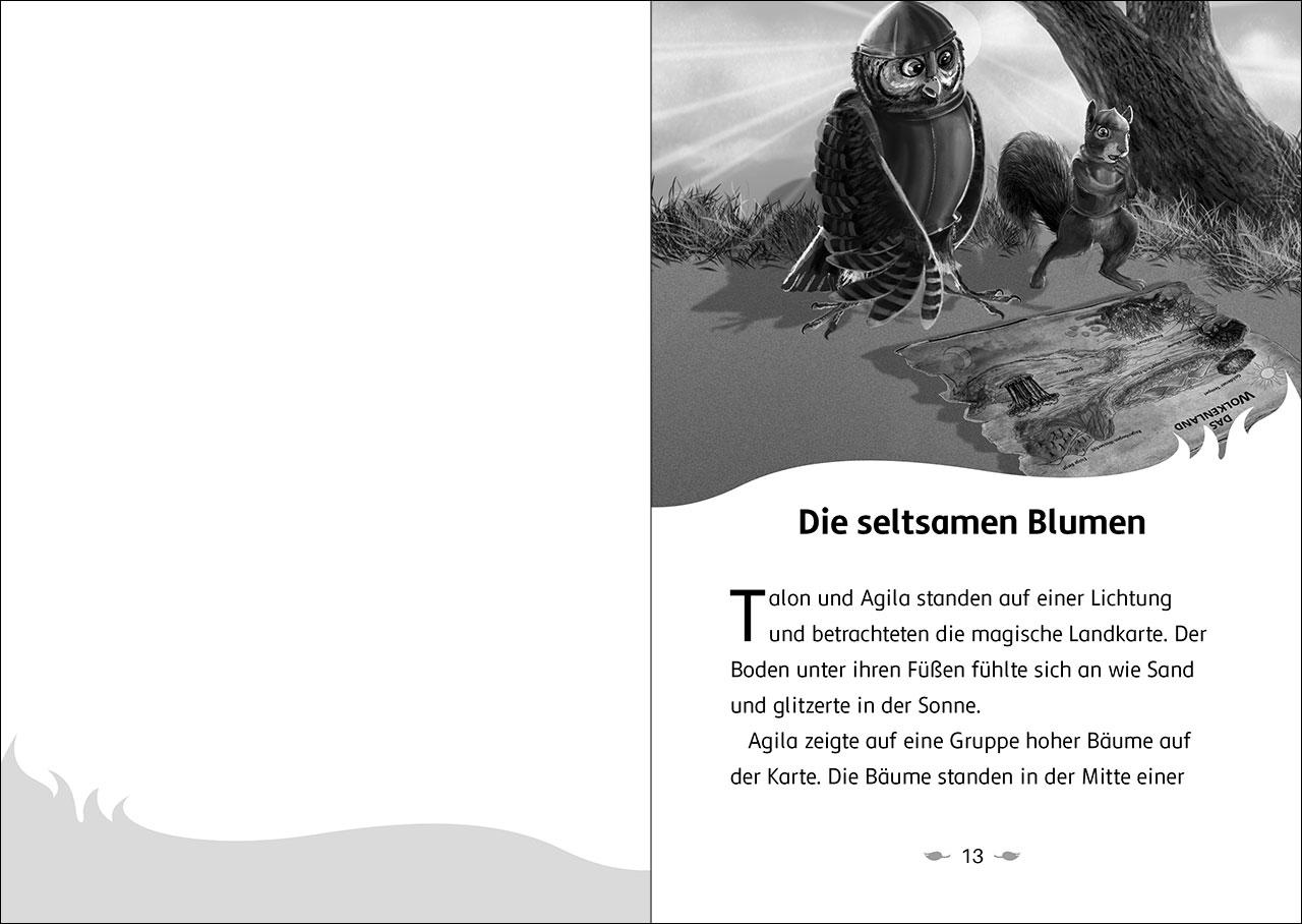 Der letzte Feuerfalke und das Silbermoor (Band 8)