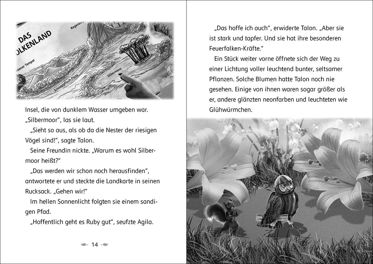 Der letzte Feuerfalke und das Silbermoor (Band 8)