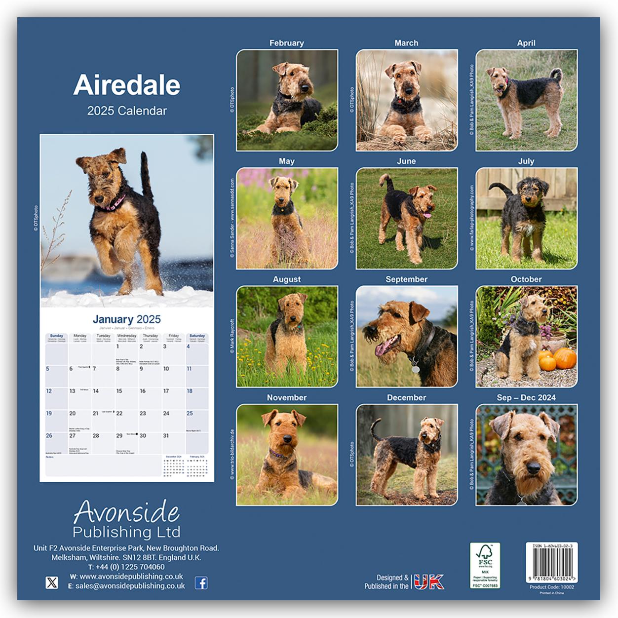 Airedale Terrier 2025 - 16-Monatskalender