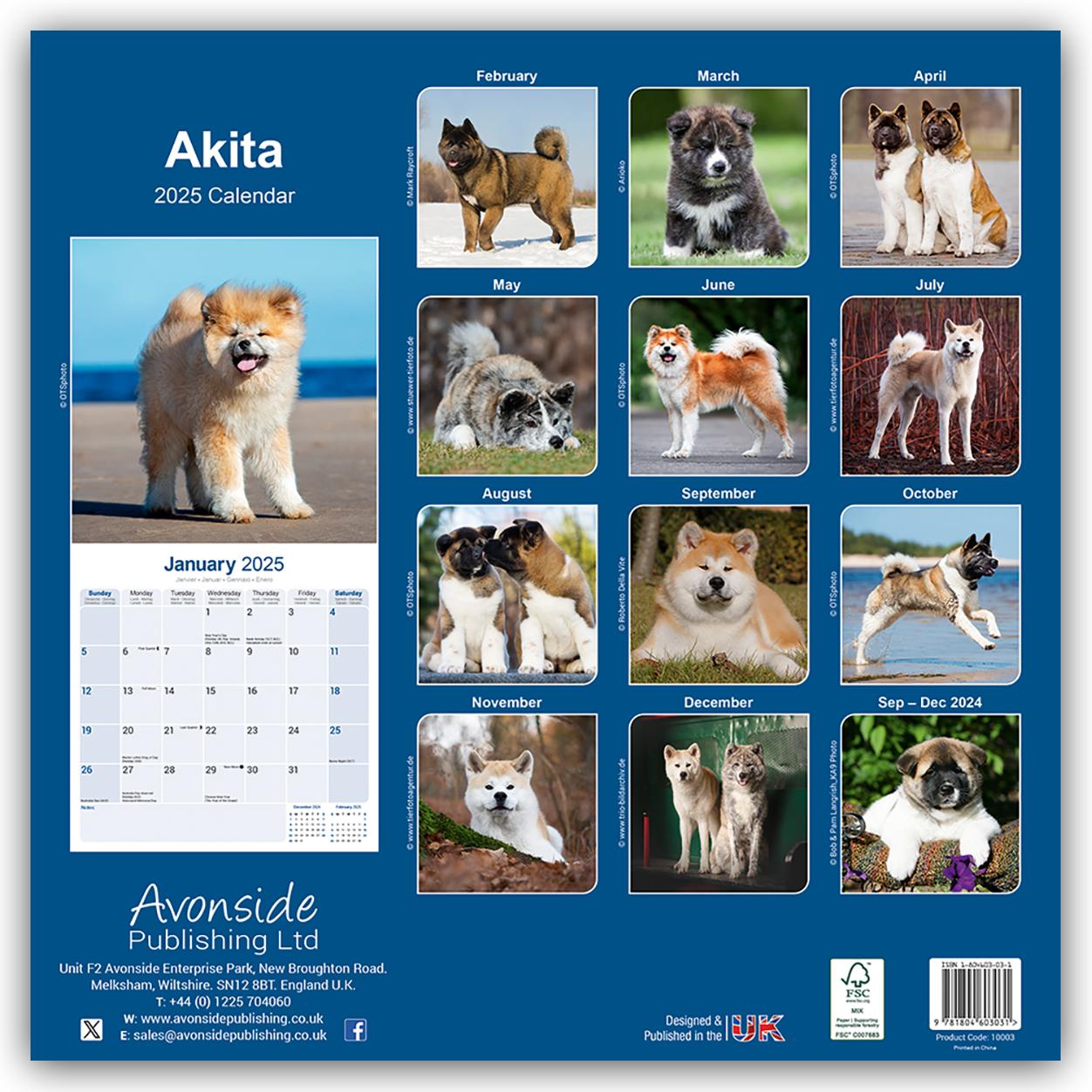 Akitas 2025 - 16-Monatskalender