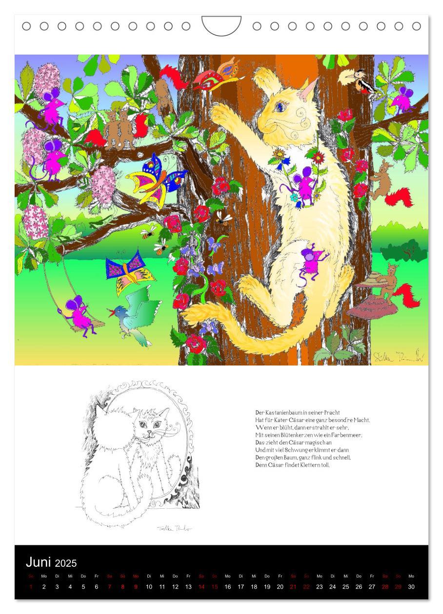 13mal Katzenleben (Wandkalender 2025 DIN A4 hoch), CALVENDO Monatskalender