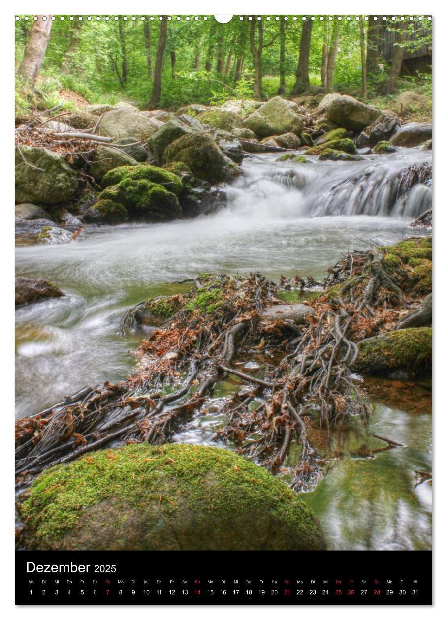 Typisch Harz (hochwertiger Premium Wandkalender 2025 DIN A2 hoch), Kunstdruck in Hochglanz