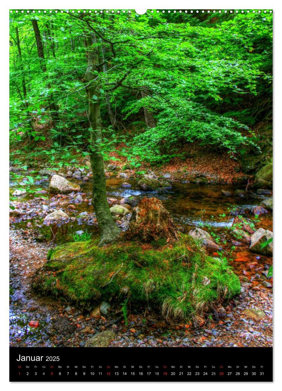 Typisch Harz (Wandkalender 2025 DIN A2 hoch), CALVENDO Monatskalender