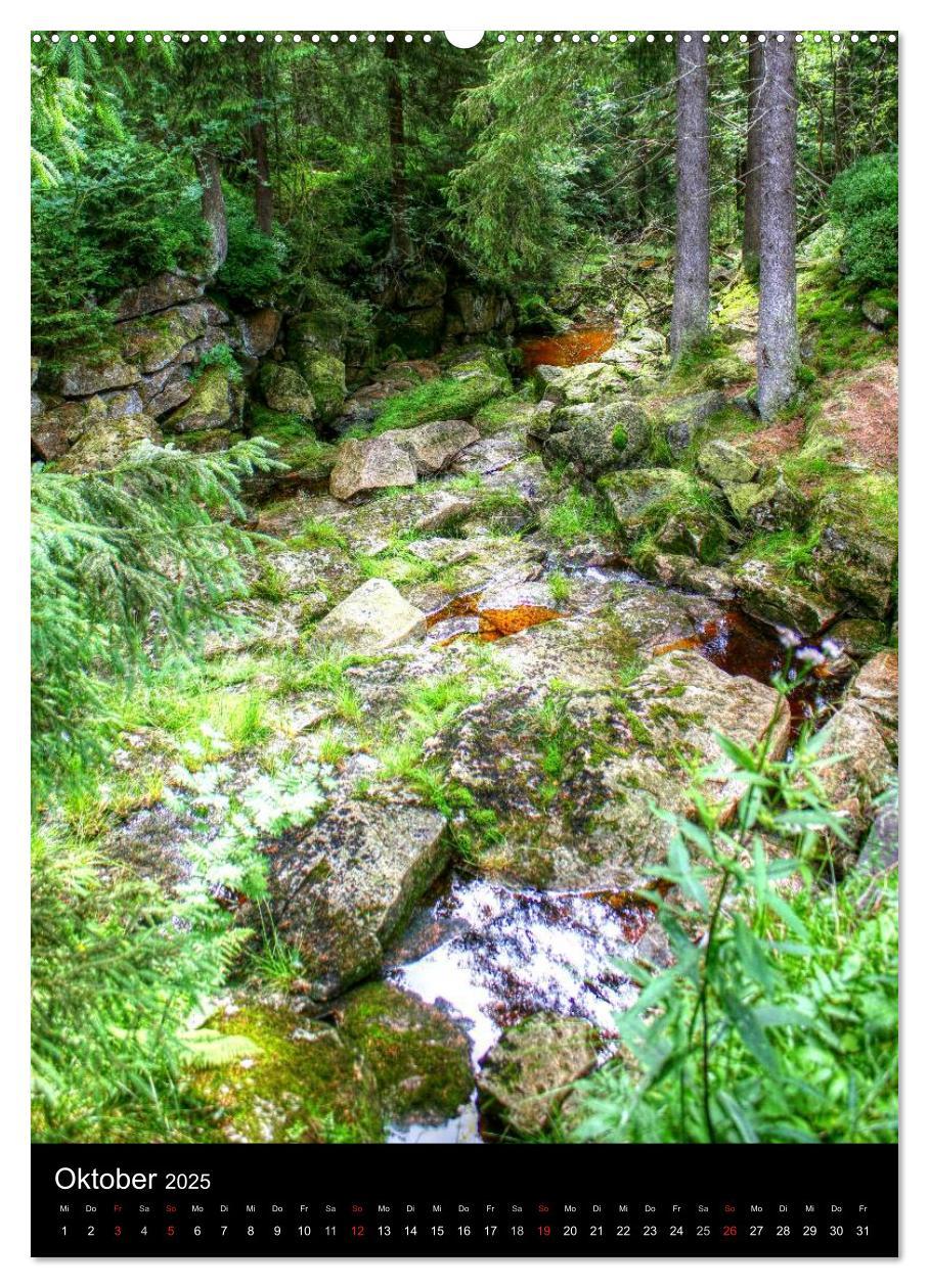 Typisch Harz (Wandkalender 2025 DIN A2 hoch), CALVENDO Monatskalender