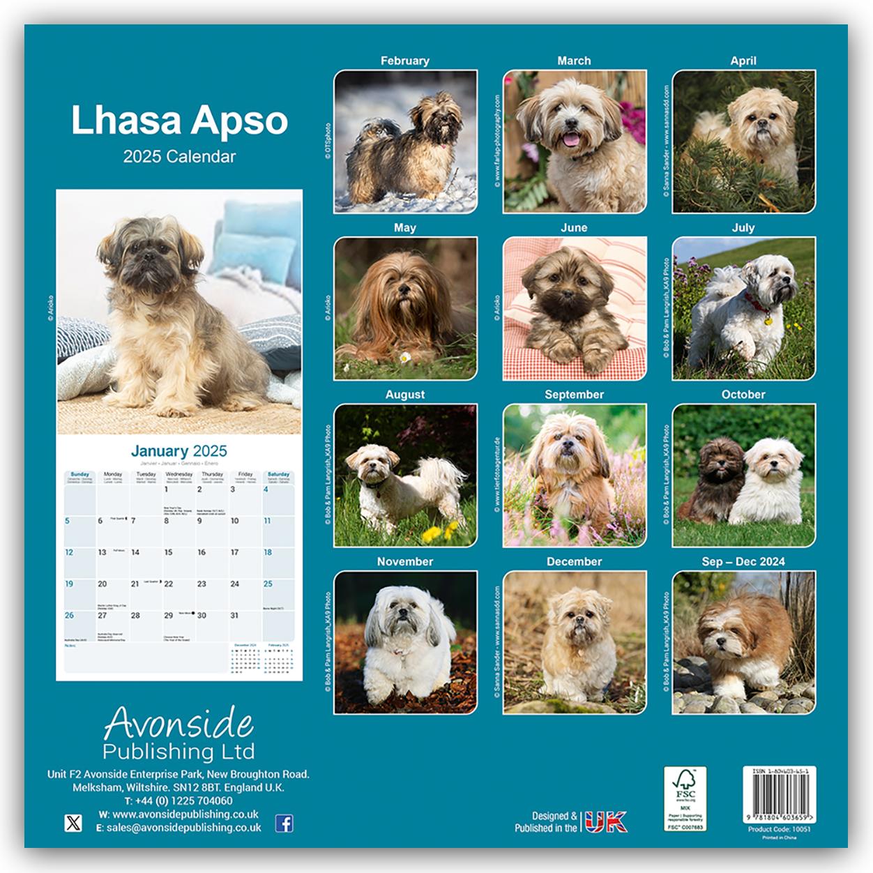 Lhasa Apso - Lhasaterrier 2025 - 16-Monatskalender