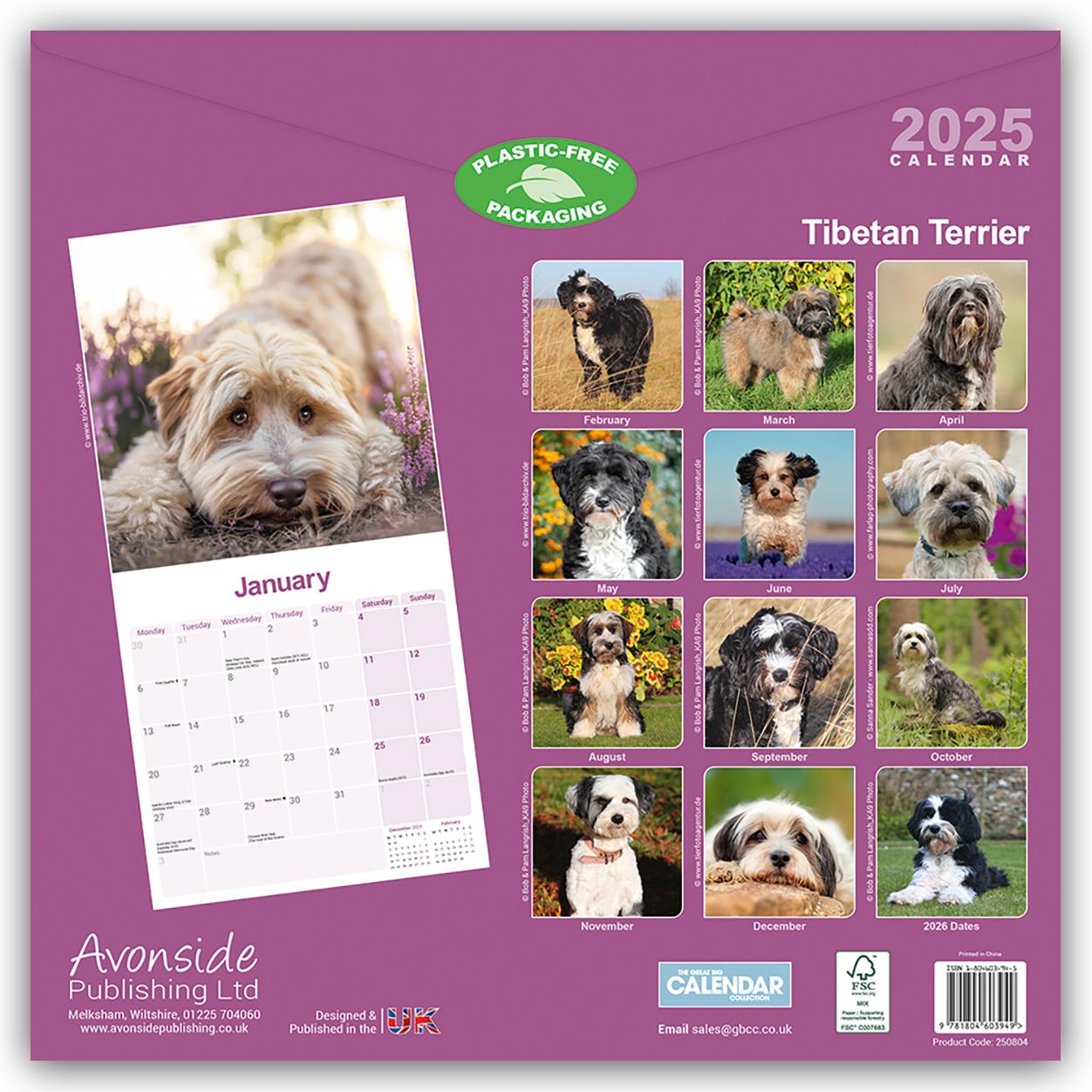 Tibetan Terrier - Tibet Terrier 2025 - 16-Monatskalender